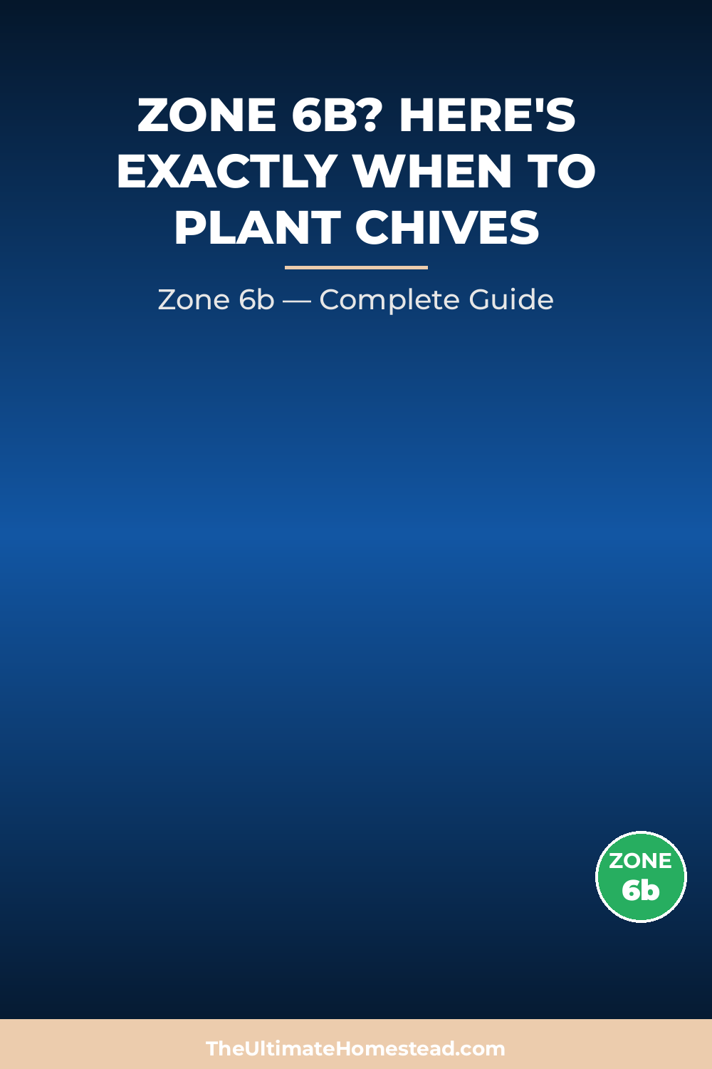 When to Plant Chives in Zone 6b