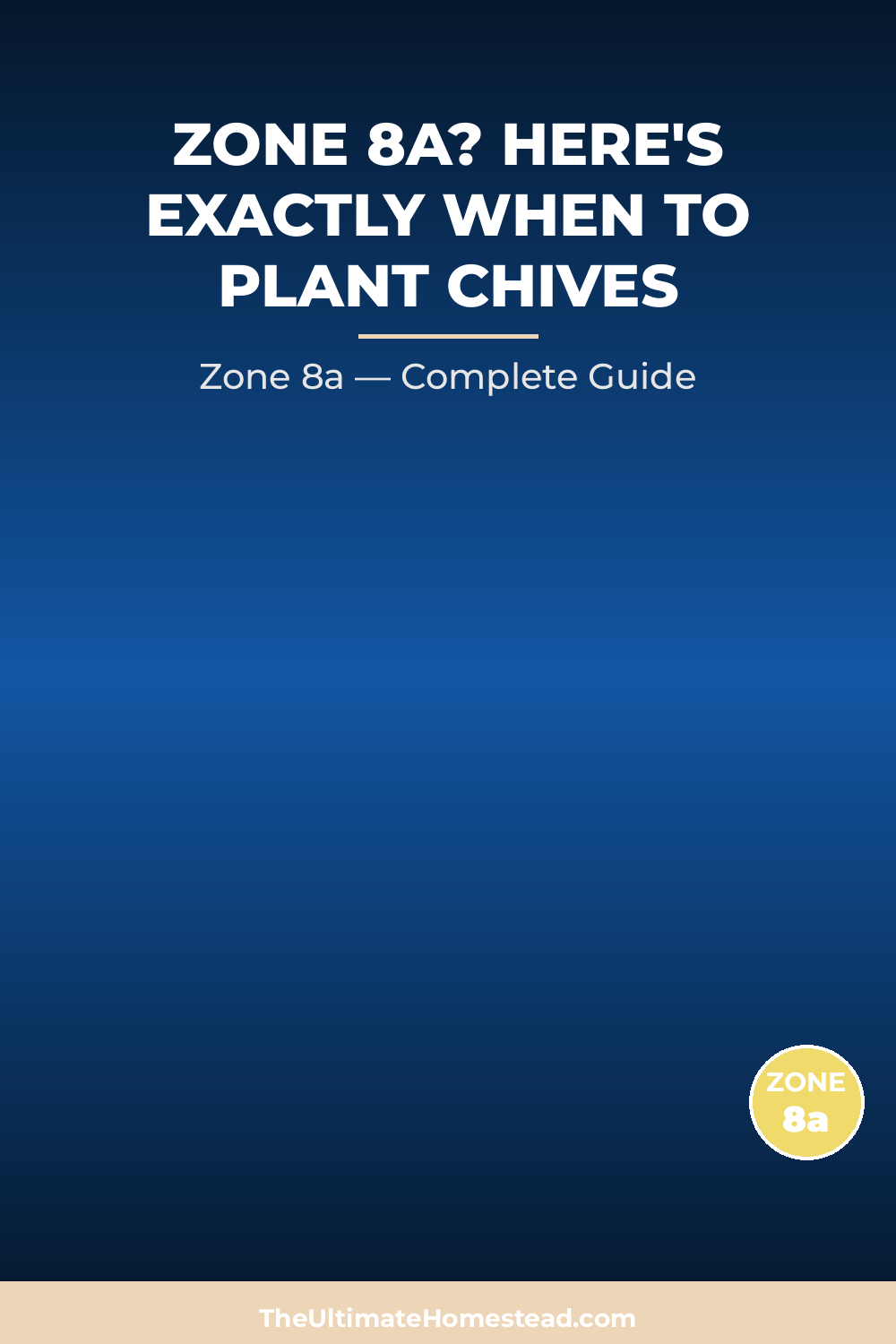 When to Plant Chives in Zone 8a