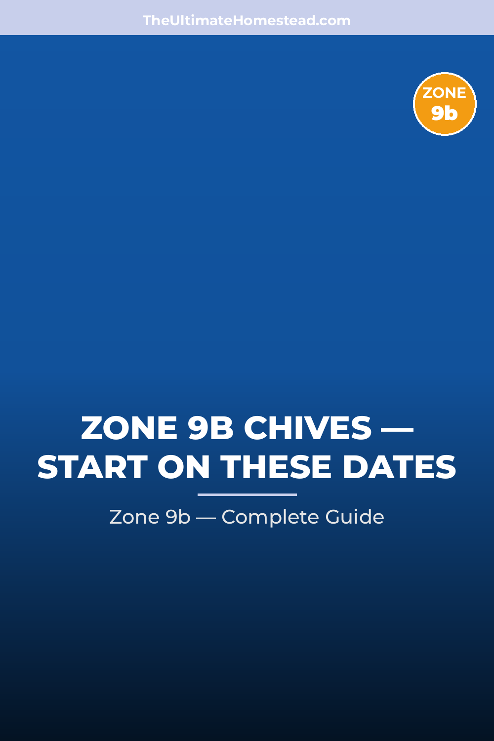 When to Plant Chives in Zone 9b