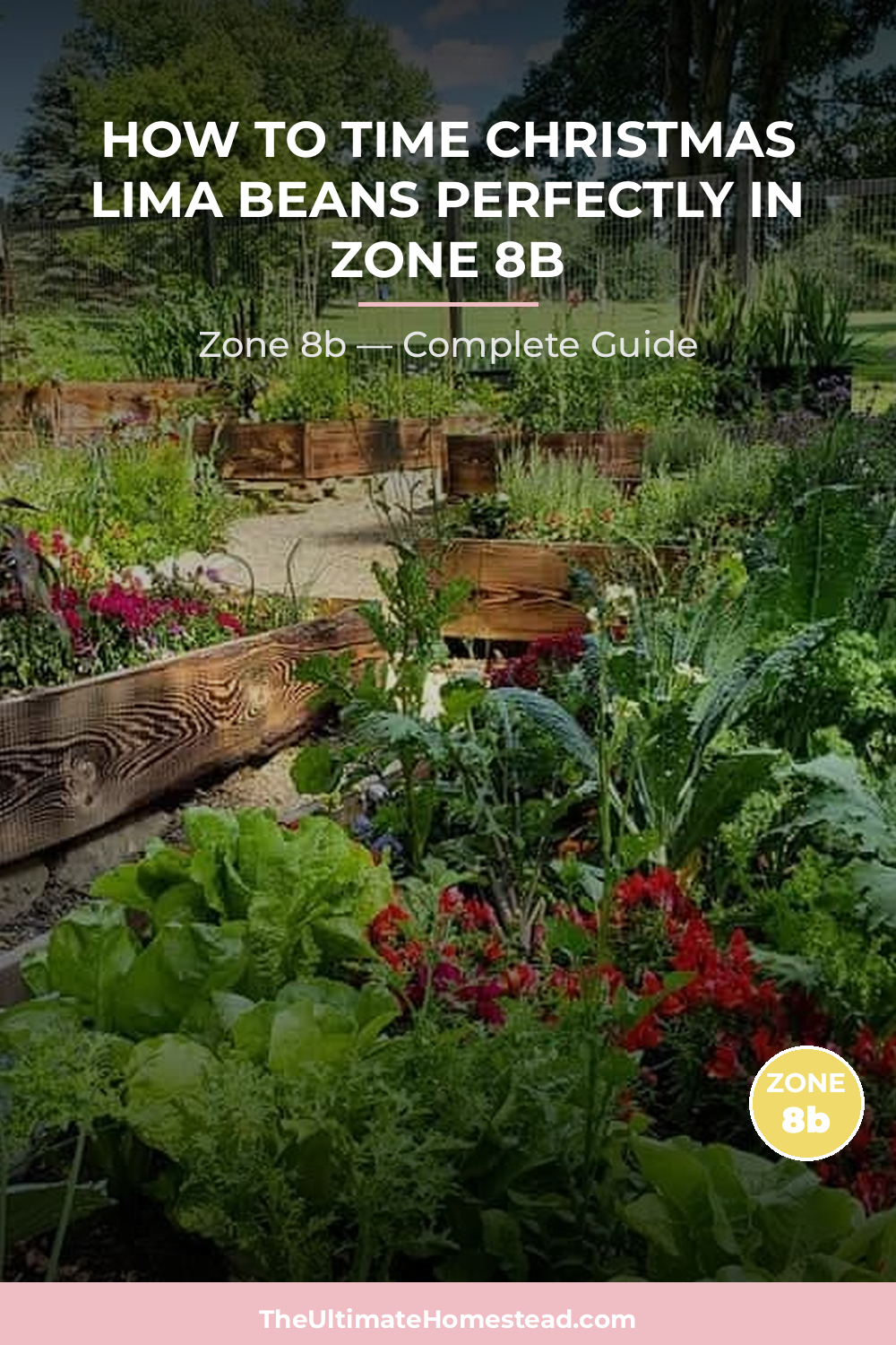 When to Plant Christmas Lima Beans in Zone 8b