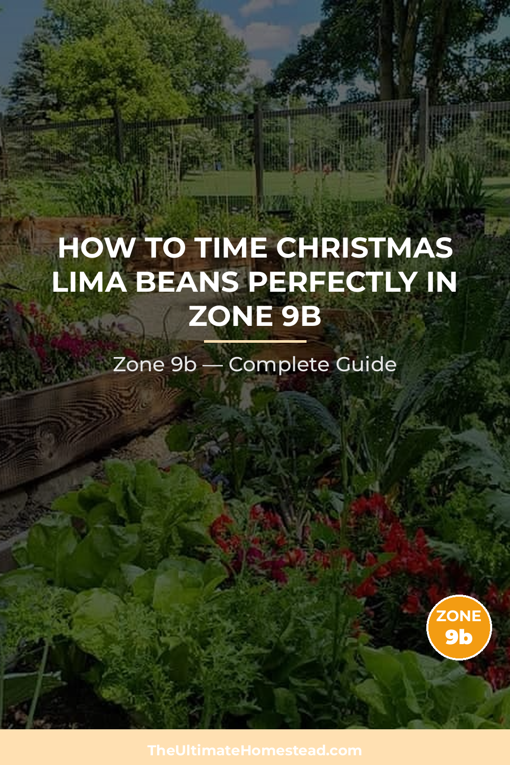When to Plant Christmas Lima Beans in Zone 9b