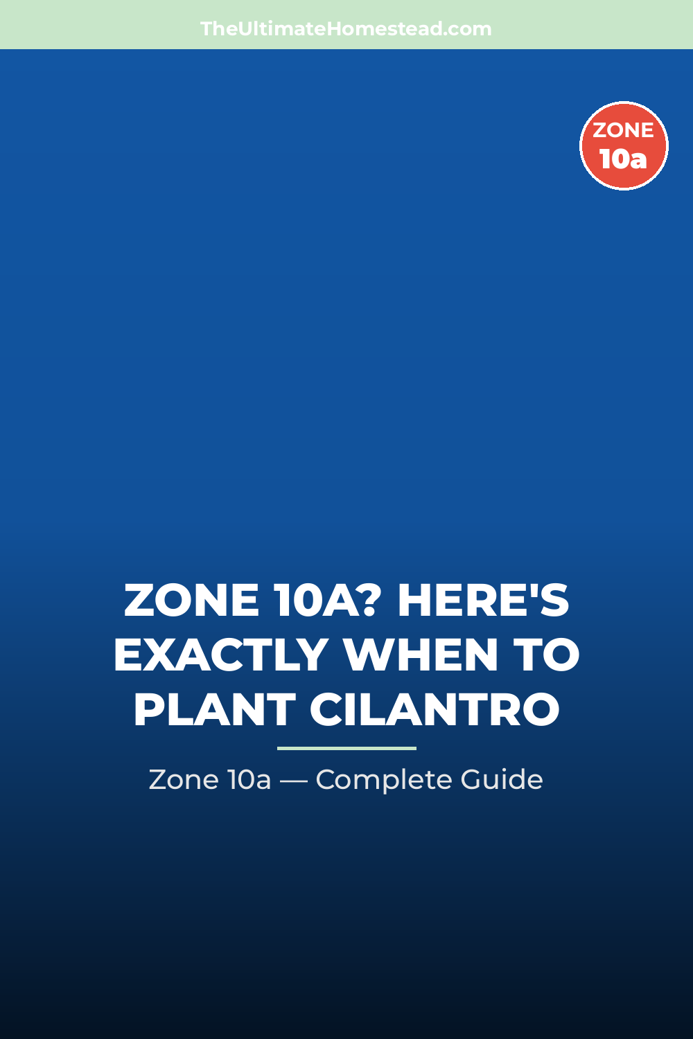 When to Plant Cilantro in Zone 10a