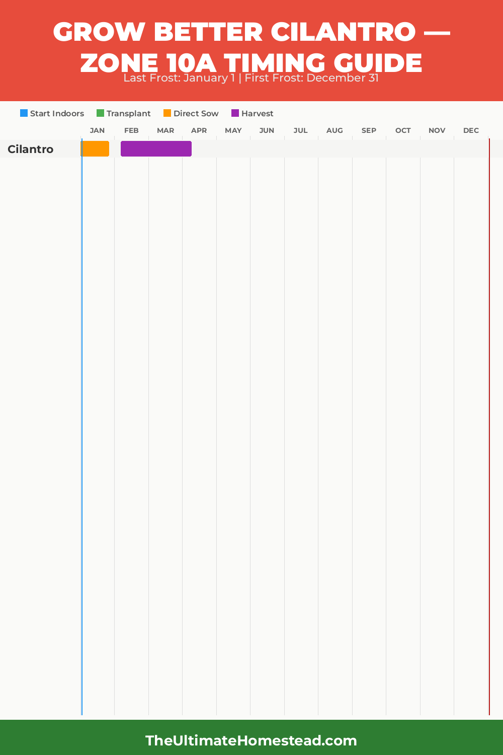 When to Plant Cilantro in Zone 10a