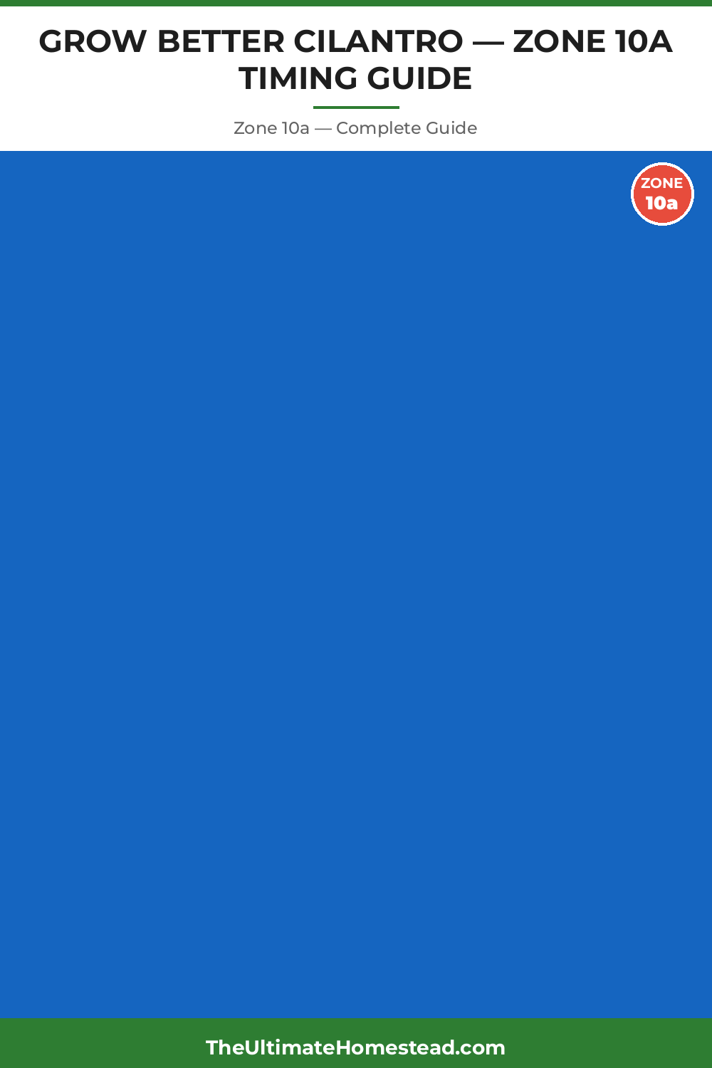 When to Plant Cilantro in Zone 10a