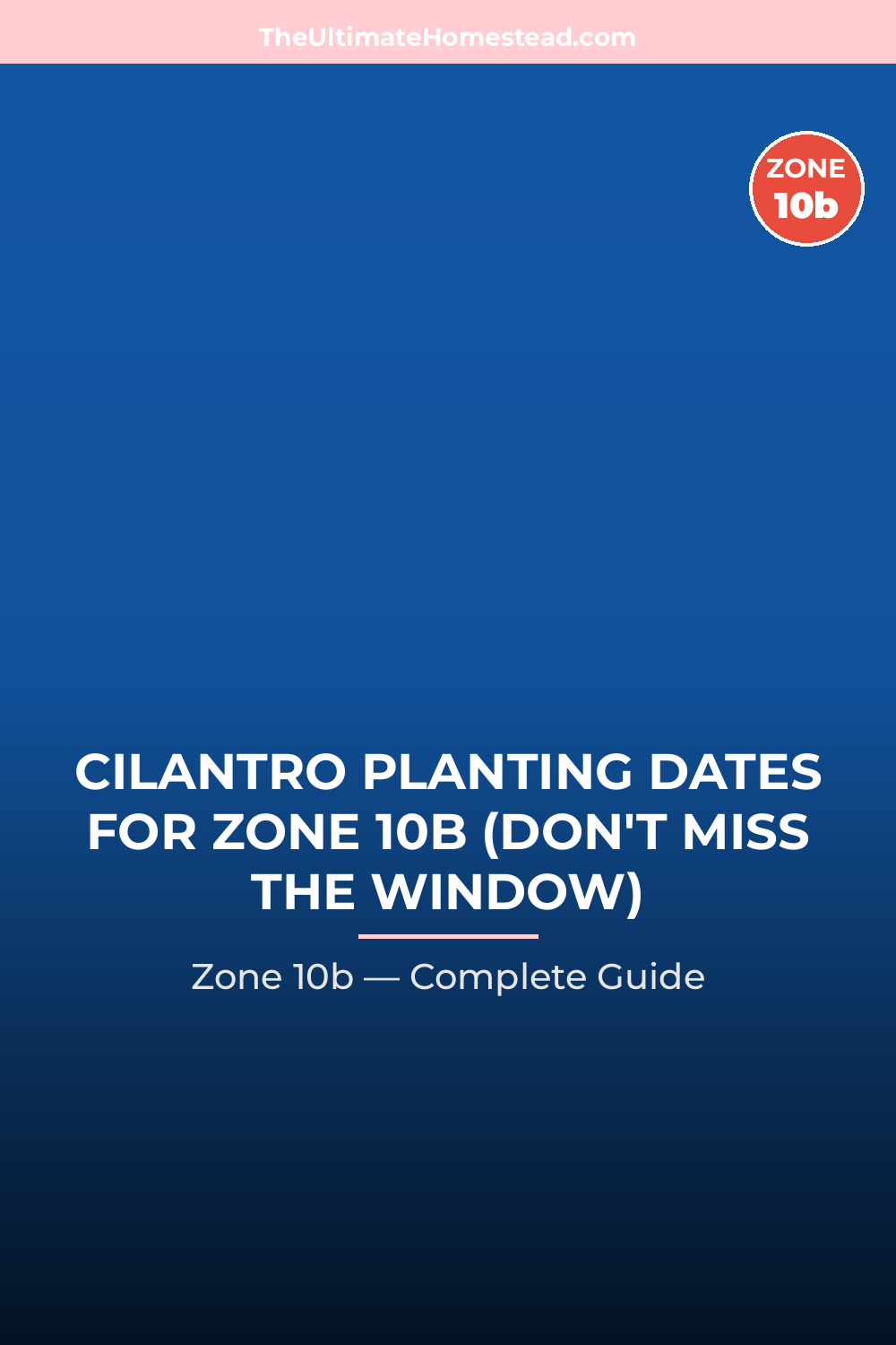 When to Plant Cilantro in Zone 10b