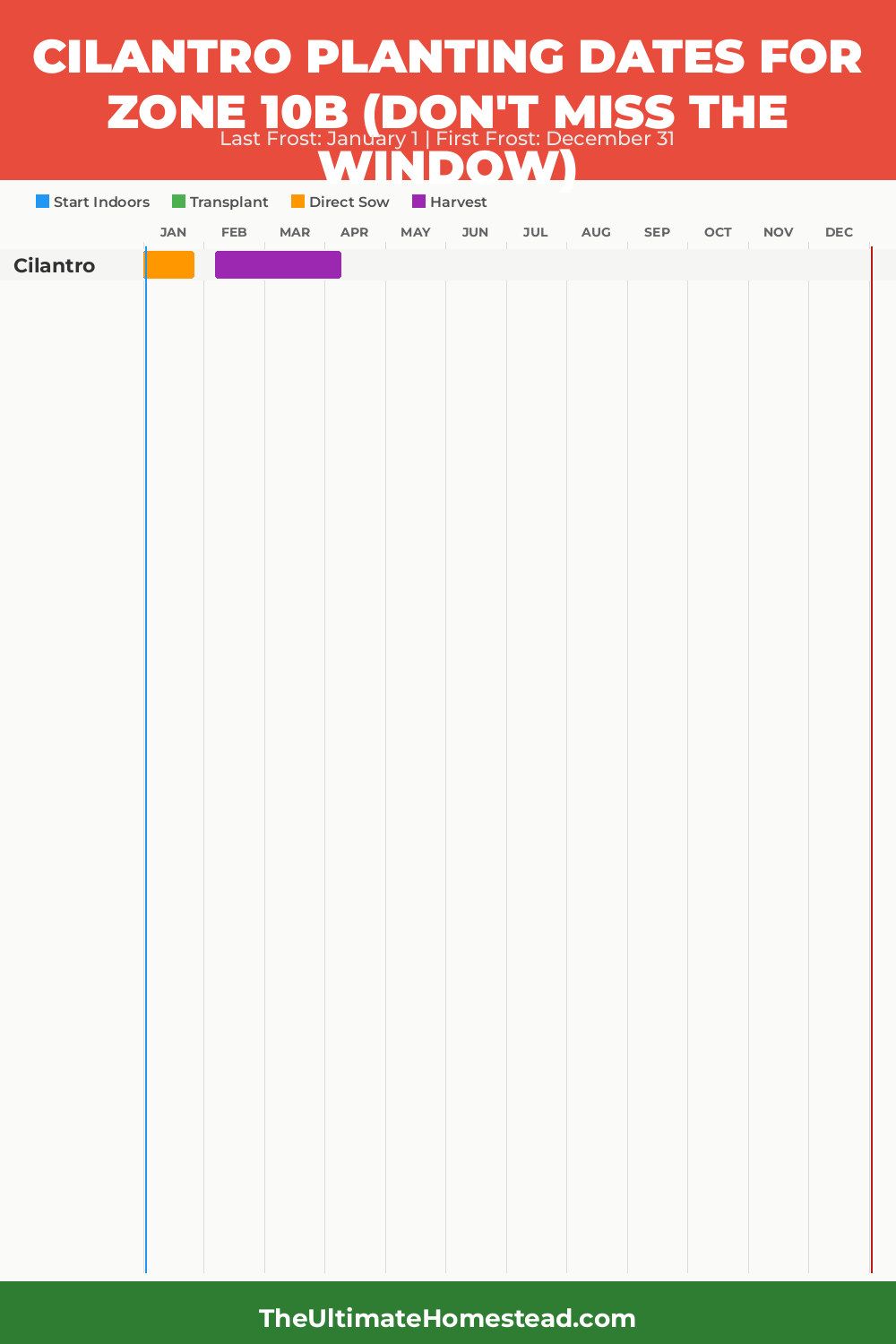 When to Plant Cilantro in Zone 10b