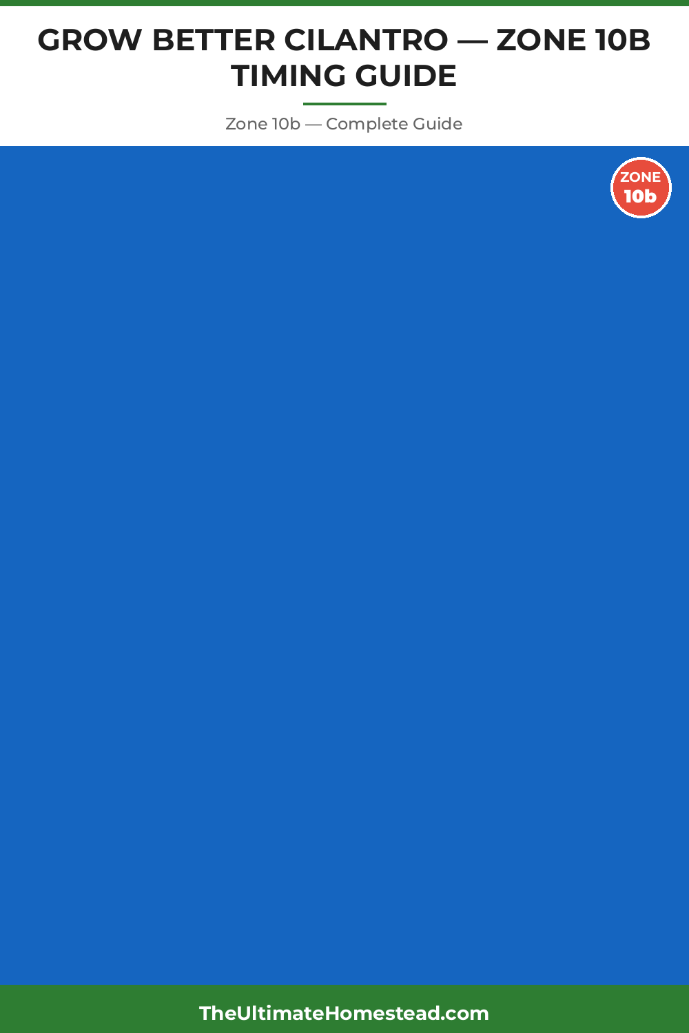 When to Plant Cilantro in Zone 10b