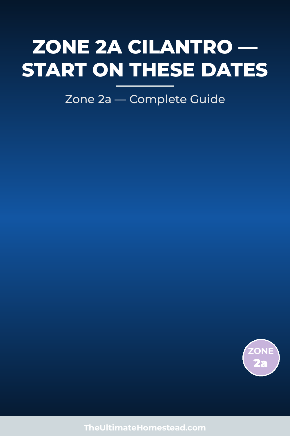 When to Plant Cilantro in Zone 2a