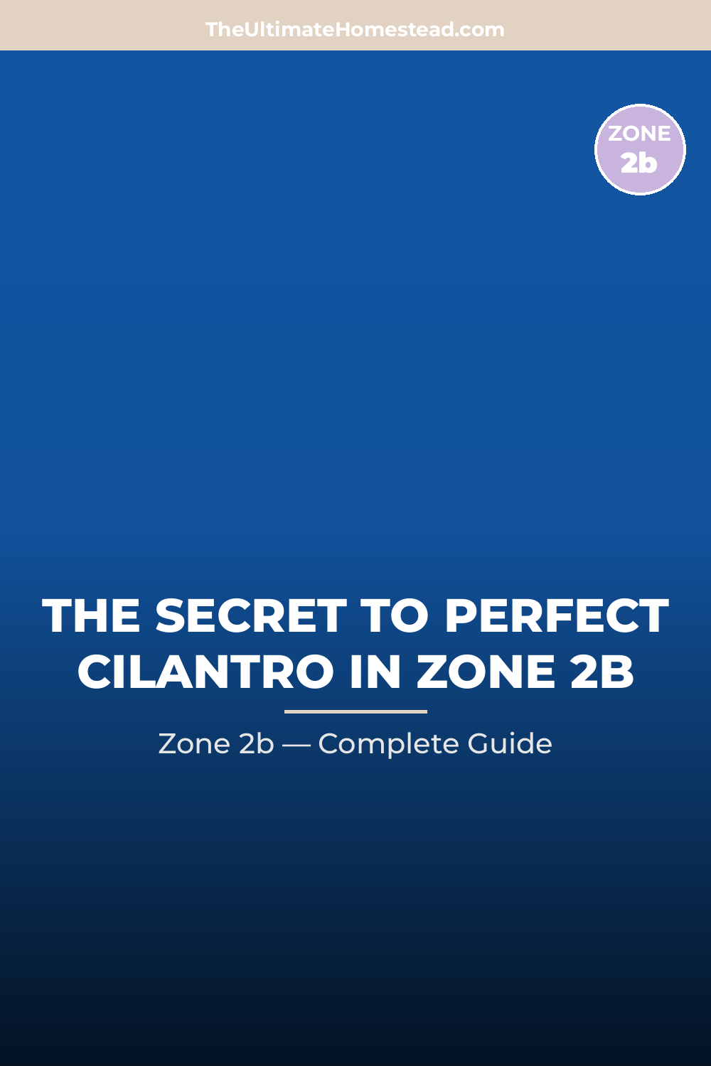 When to Plant Cilantro in Zone 2b