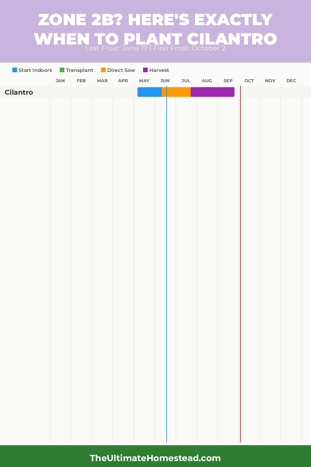 When to Plant Cilantro in Zone 2b