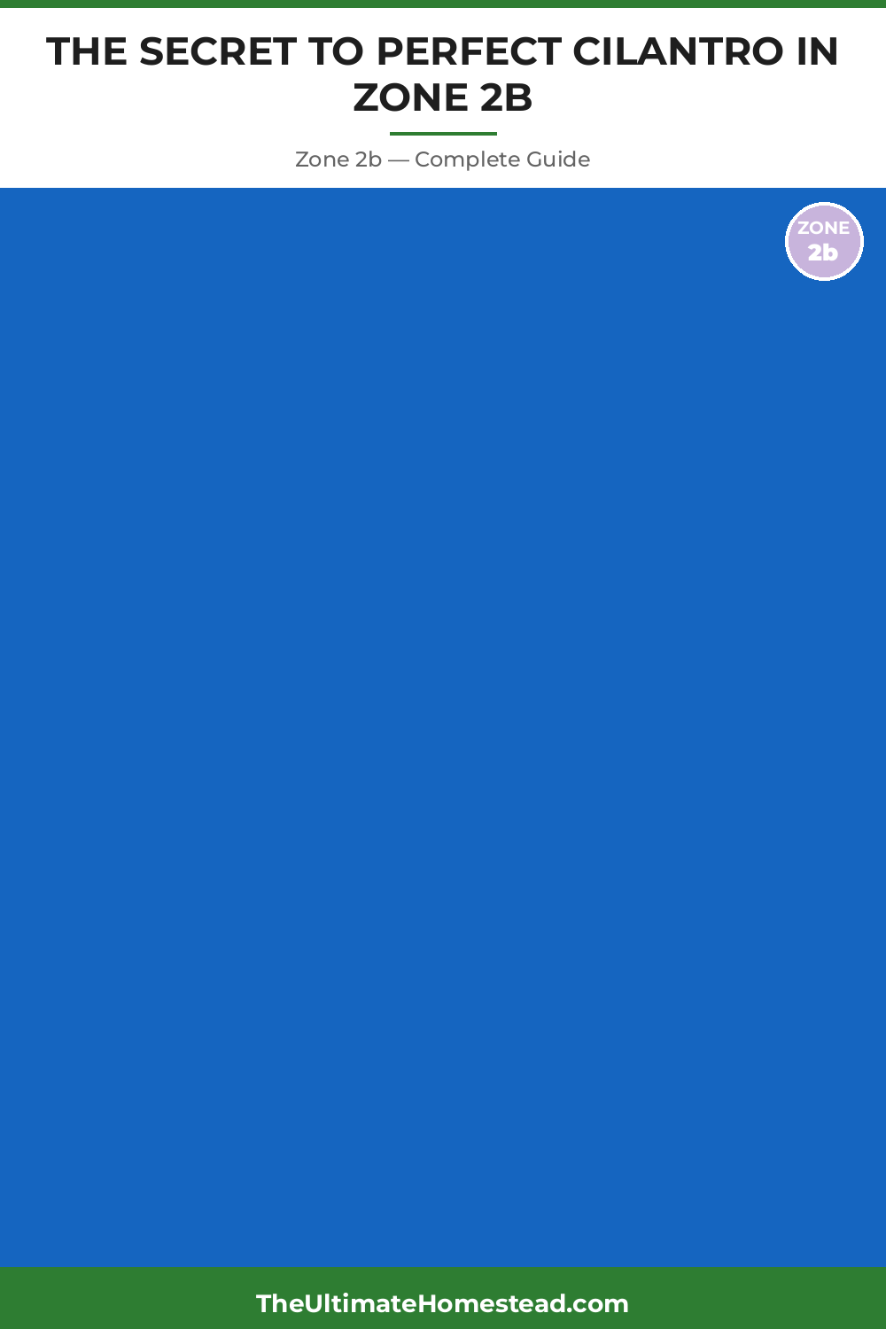 When to Plant Cilantro in Zone 2b