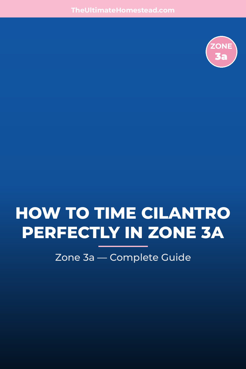 When to Plant Cilantro in Zone 3a