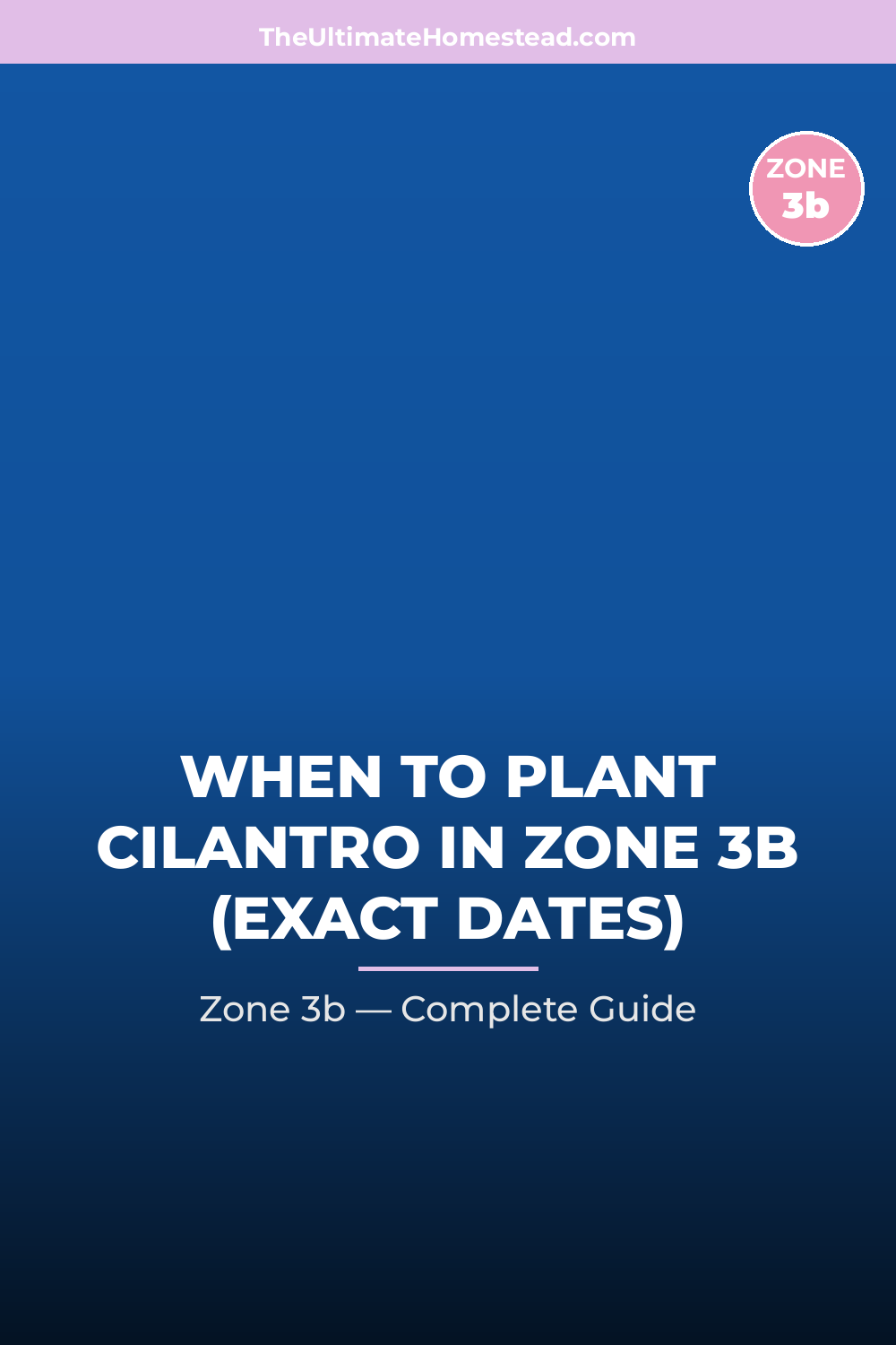 When to Plant Cilantro in Zone 3b