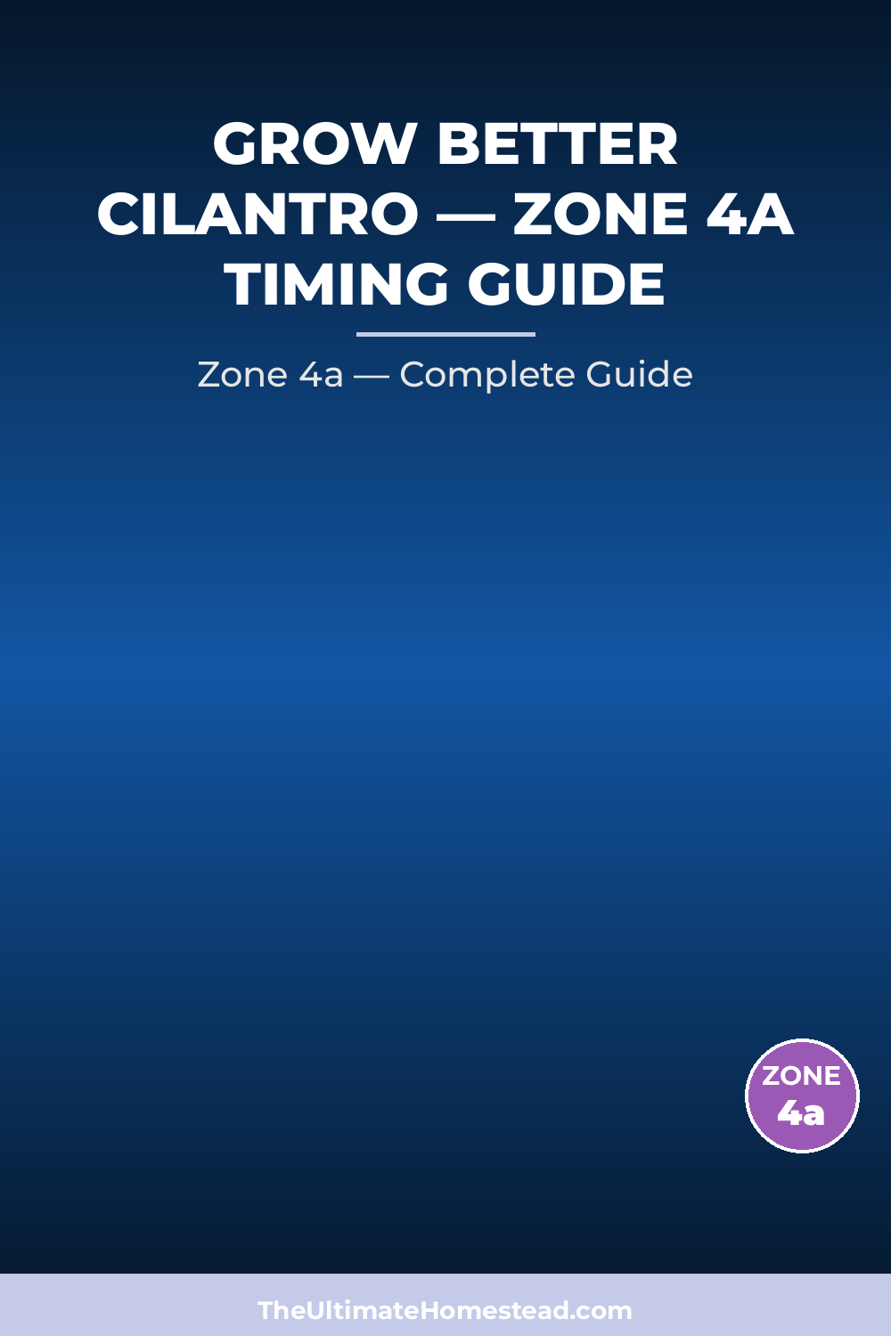 When to Plant Cilantro in Zone 4a