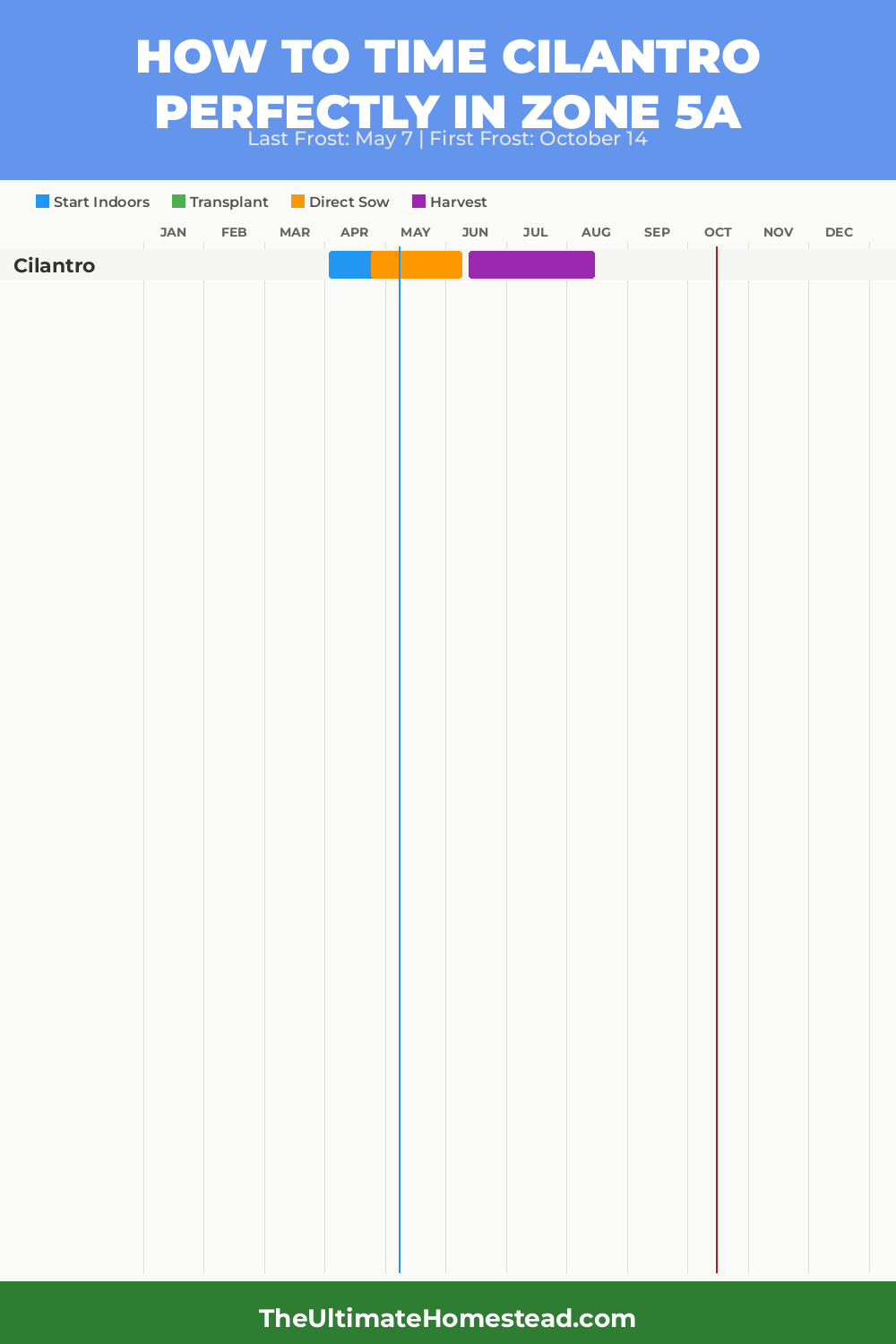 When to Plant Cilantro in Zone 5a