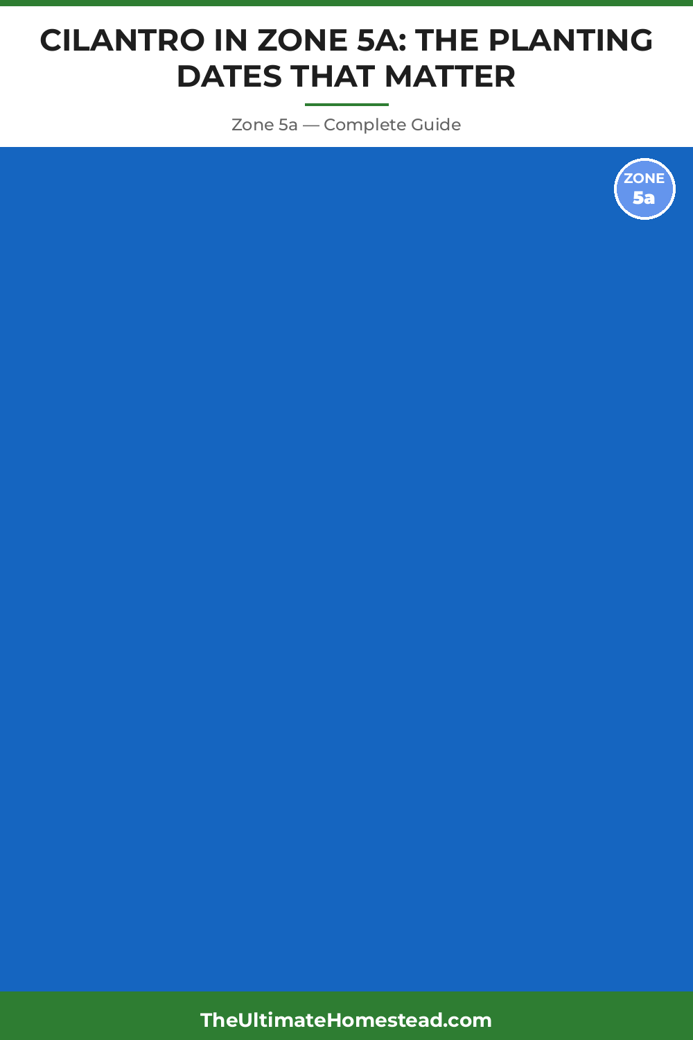 When to Plant Cilantro in Zone 5a