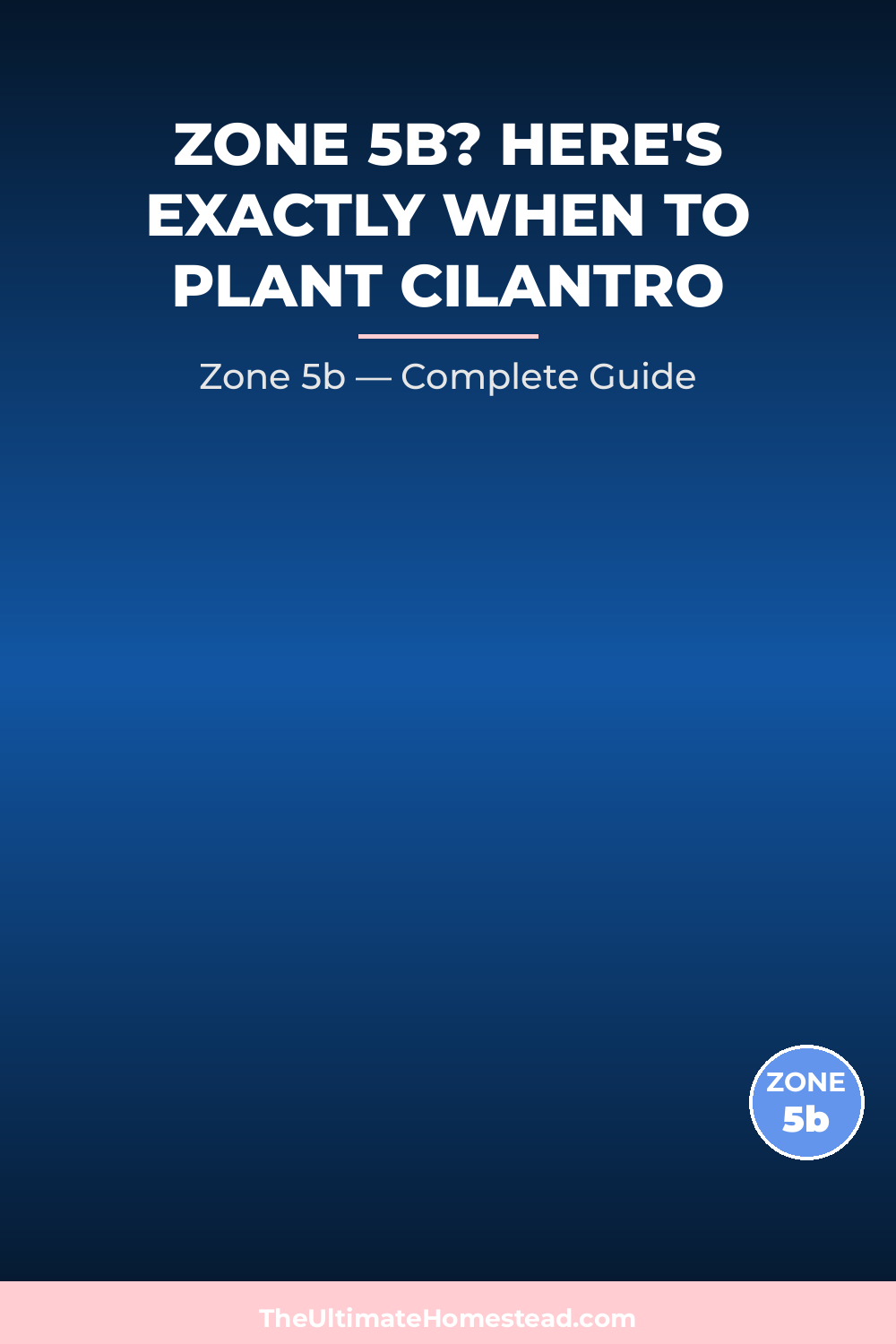 When to Plant Cilantro in Zone 5b