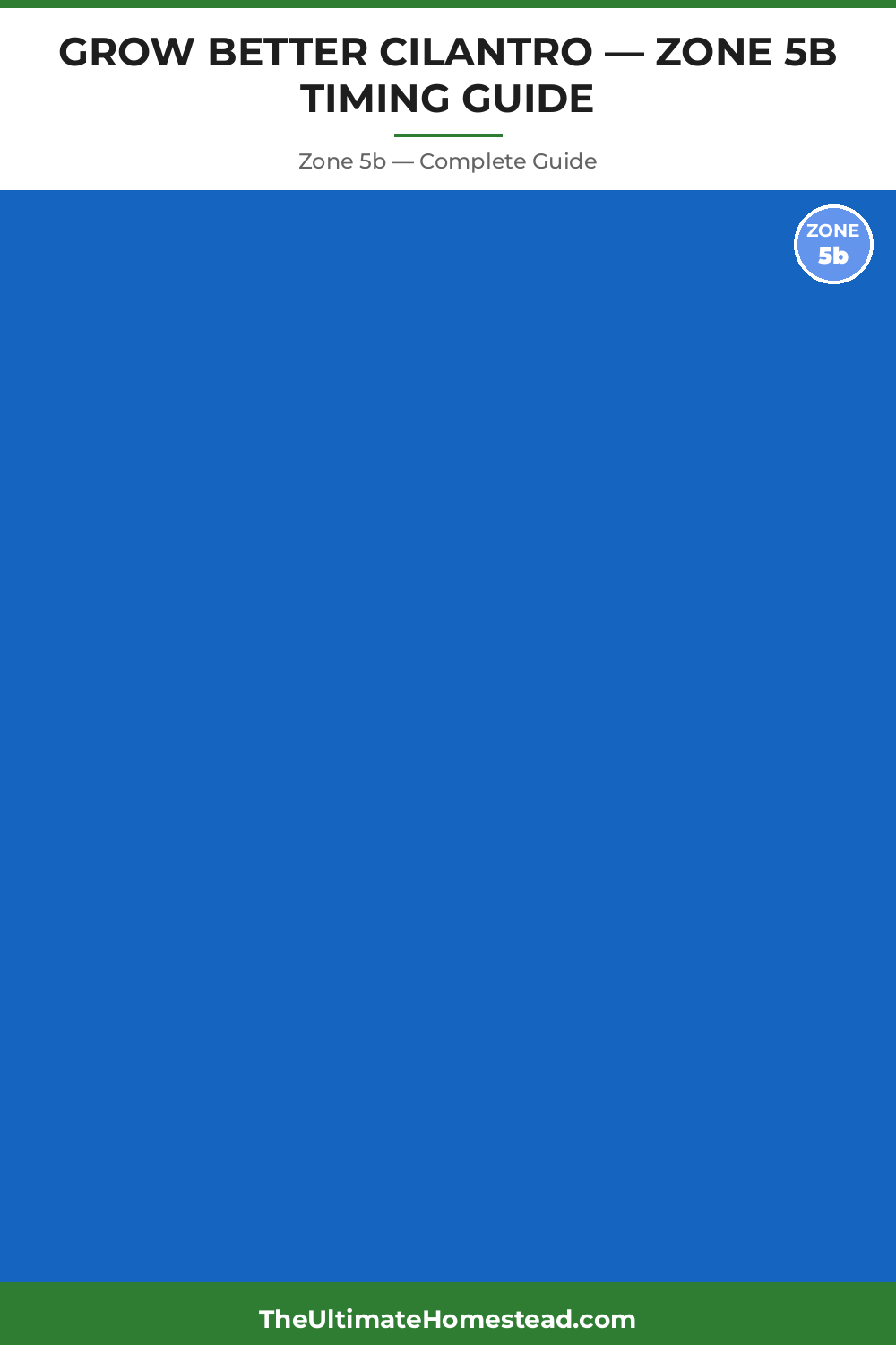 When to Plant Cilantro in Zone 5b