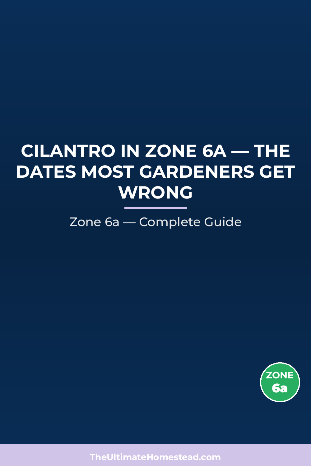 When to Plant Cilantro in Zone 6a