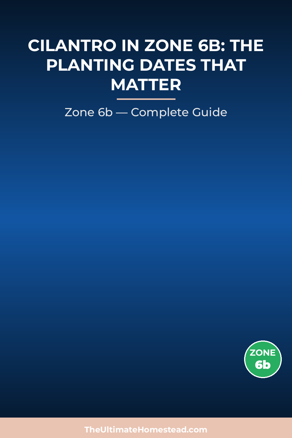 When to Plant Cilantro in Zone 6b