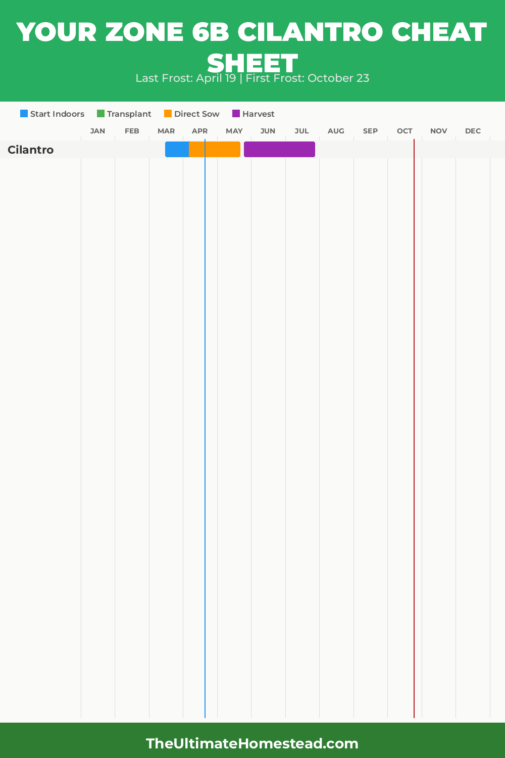 When to Plant Cilantro in Zone 6b