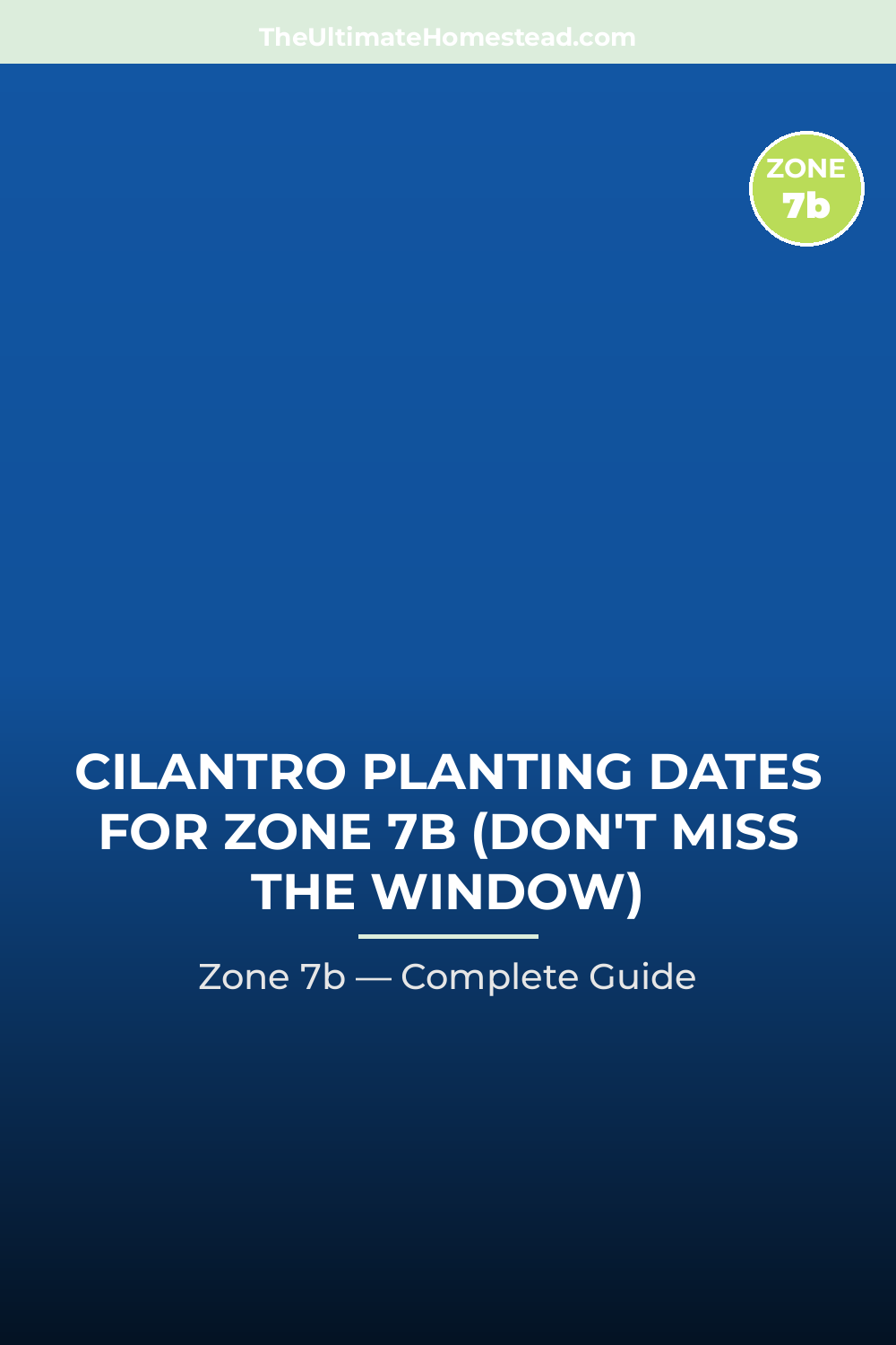 When to Plant Cilantro in Zone 7b