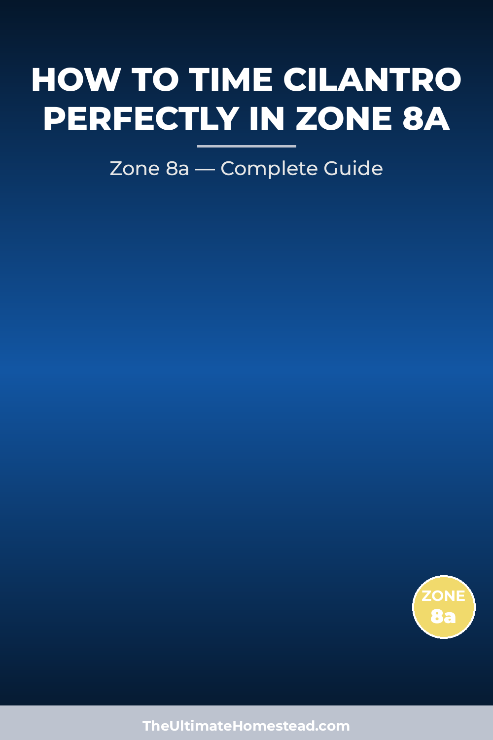 When to Plant Cilantro in Zone 8a