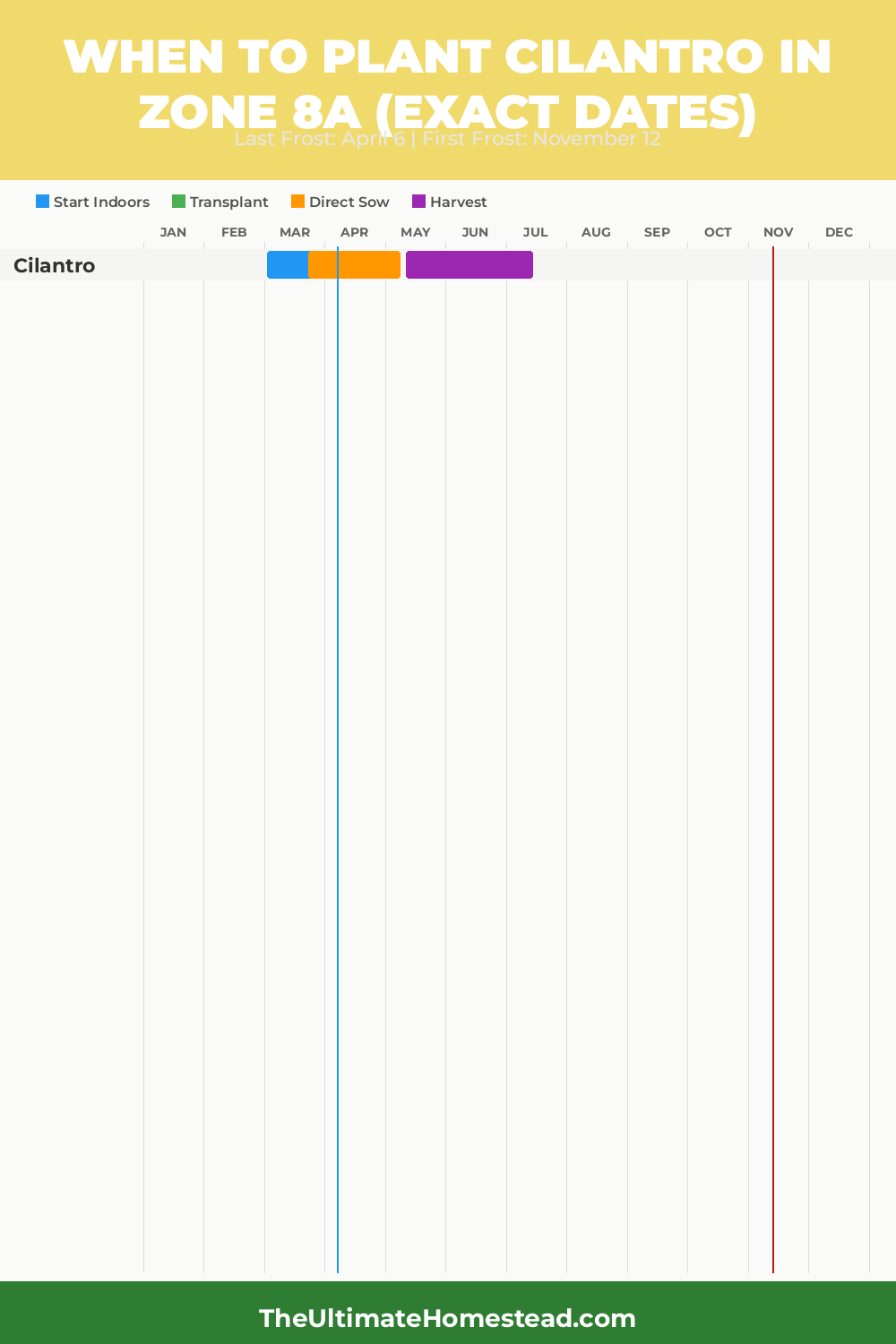 When to Plant Cilantro in Zone 8a