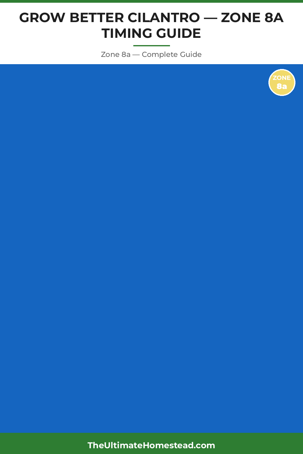 When to Plant Cilantro in Zone 8a