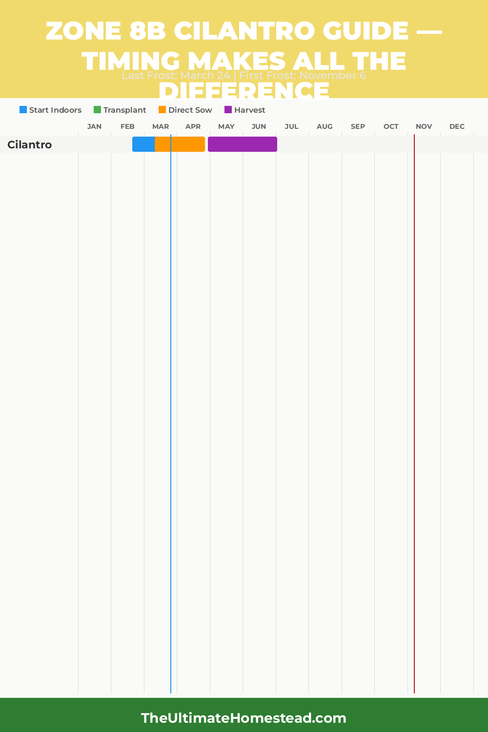 When to Plant Cilantro in Zone 8b