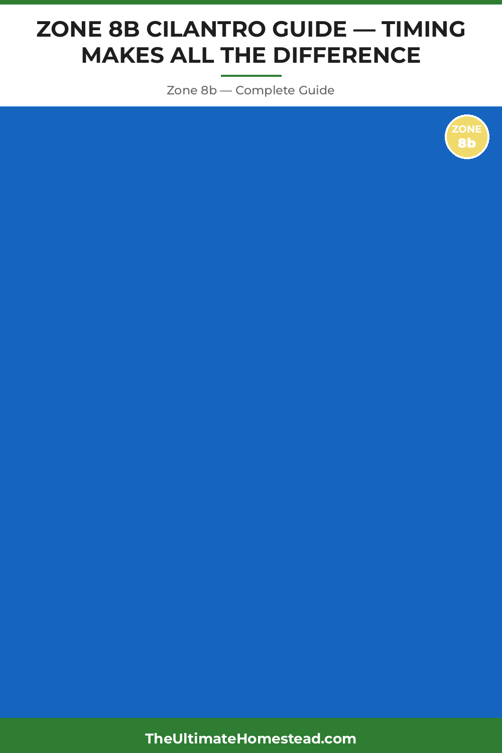 When to Plant Cilantro in Zone 8b