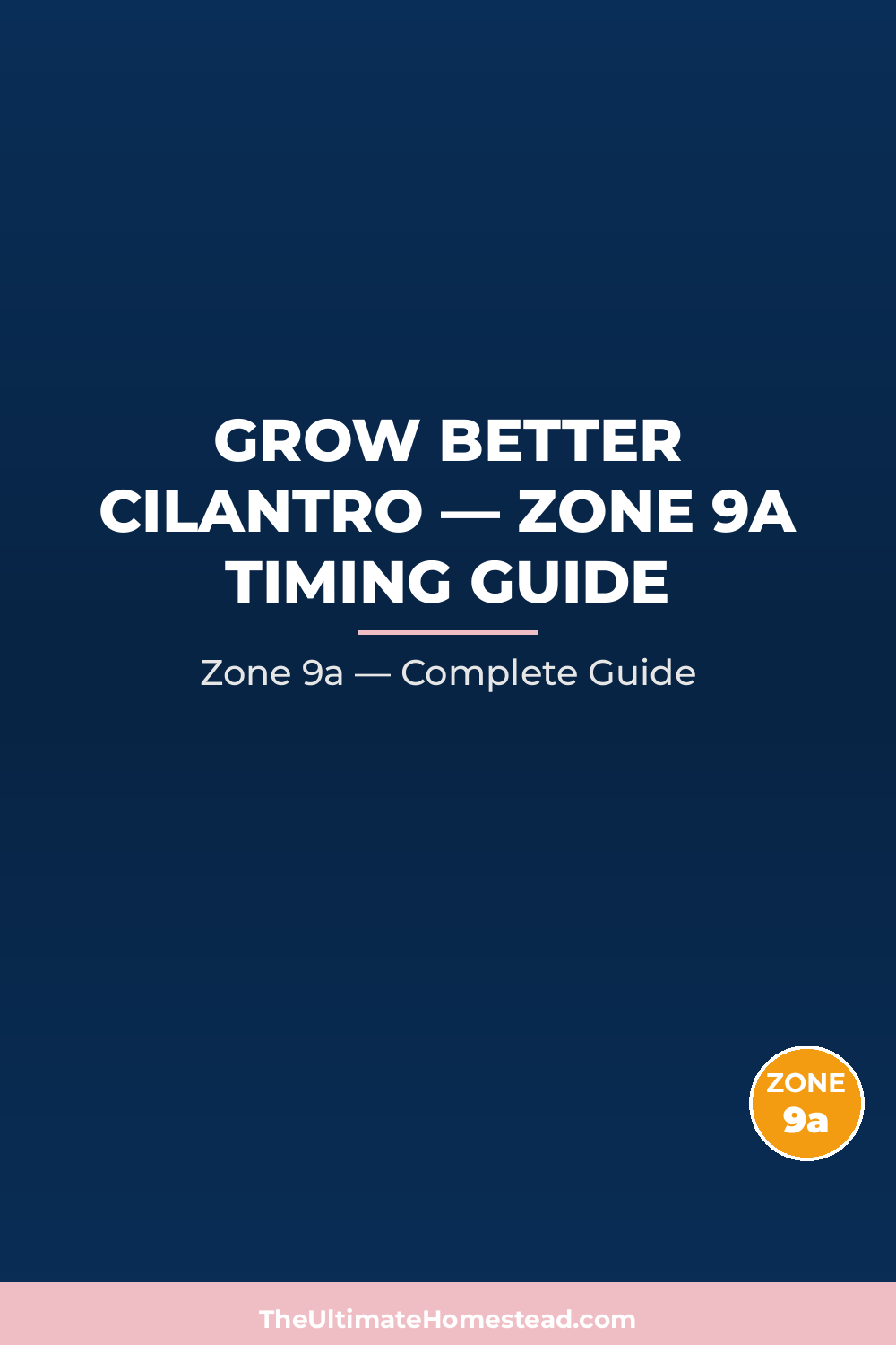 When to Plant Cilantro in Zone 9a
