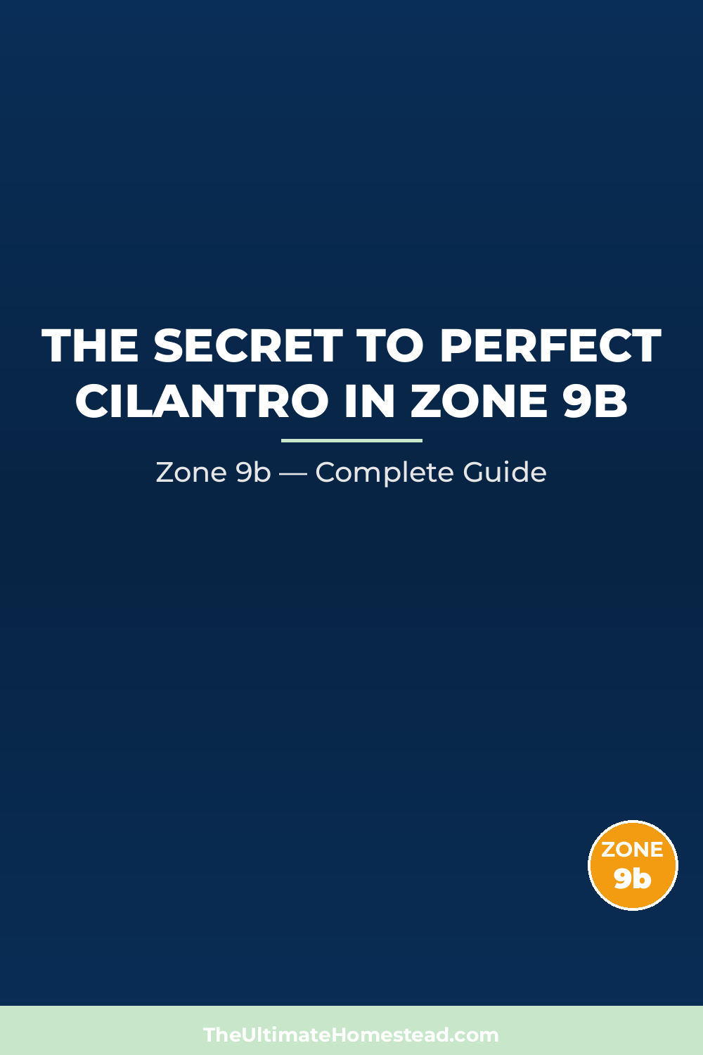 When to Plant Cilantro in Zone 9b