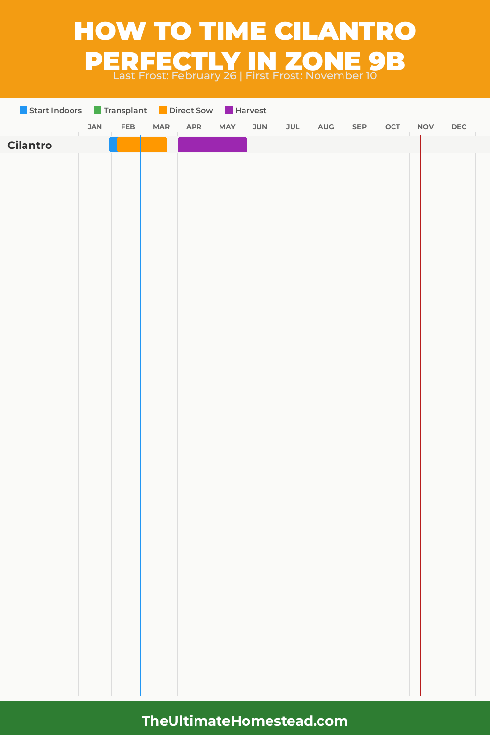 When to Plant Cilantro in Zone 9b
