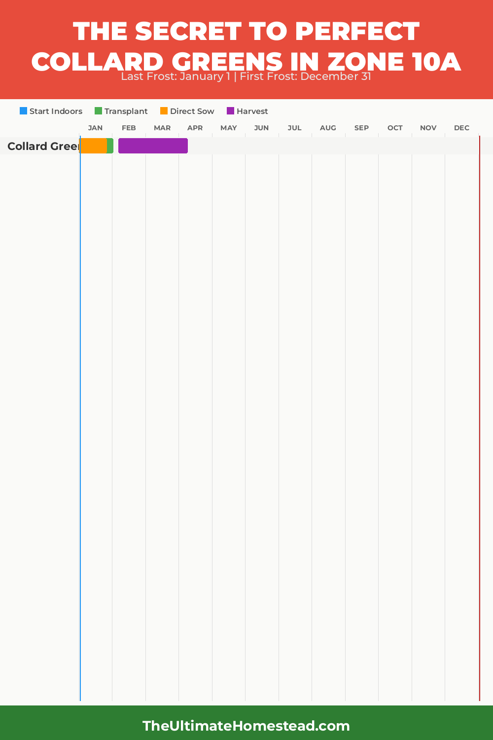 When to Plant Collard Greens in Zone 10a