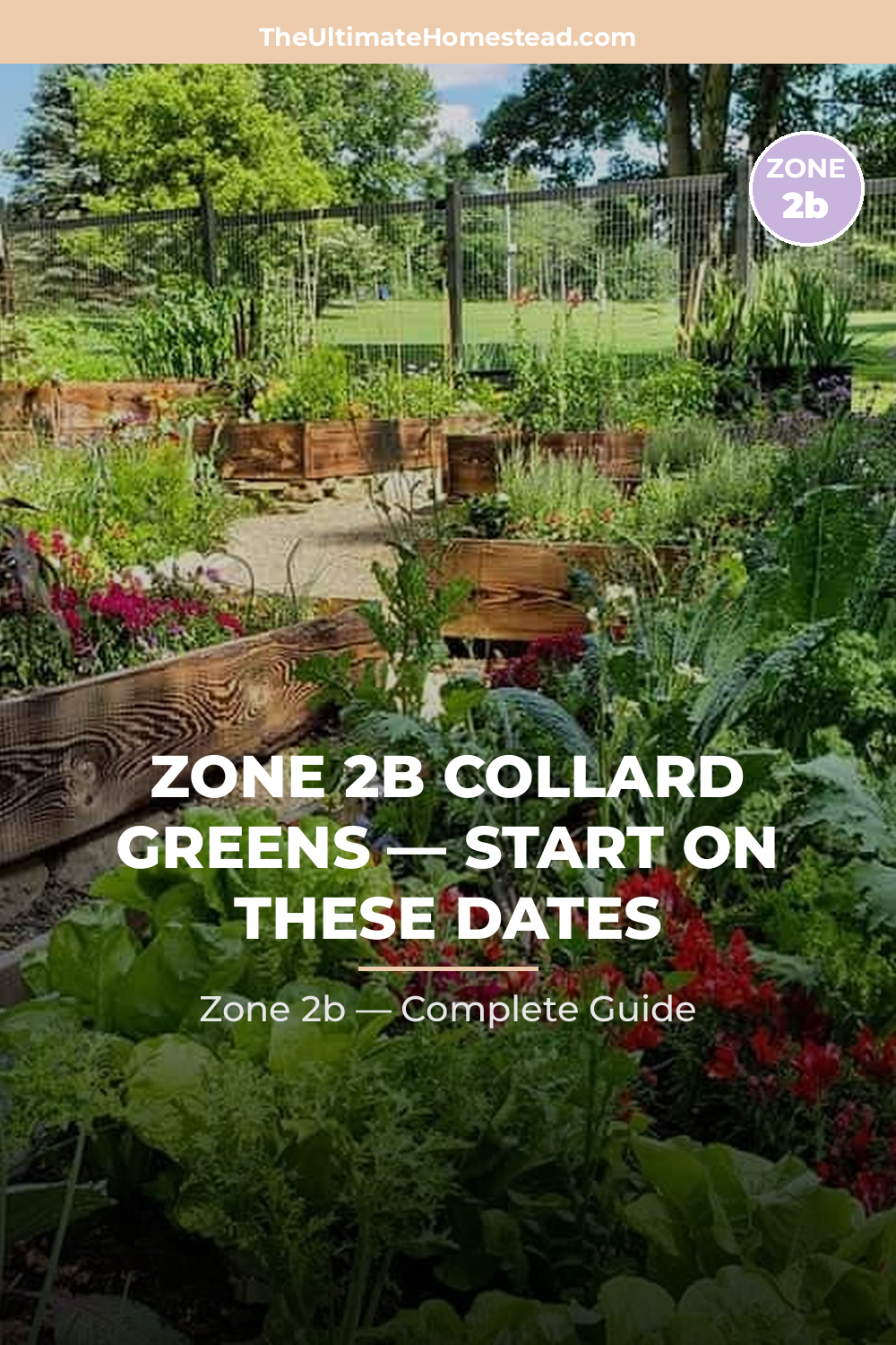 When to Plant Collard Greens in Zone 2b