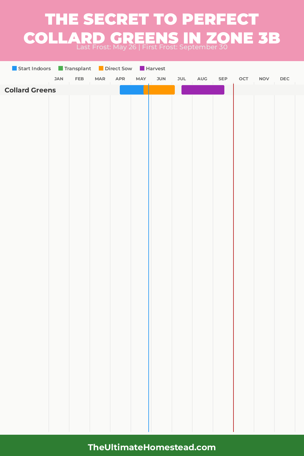 When to Plant Collard Greens in Zone 3b