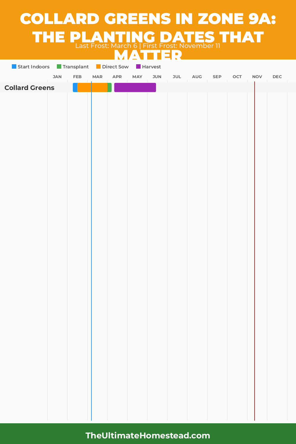 When to Plant Collard Greens in Zone 9a