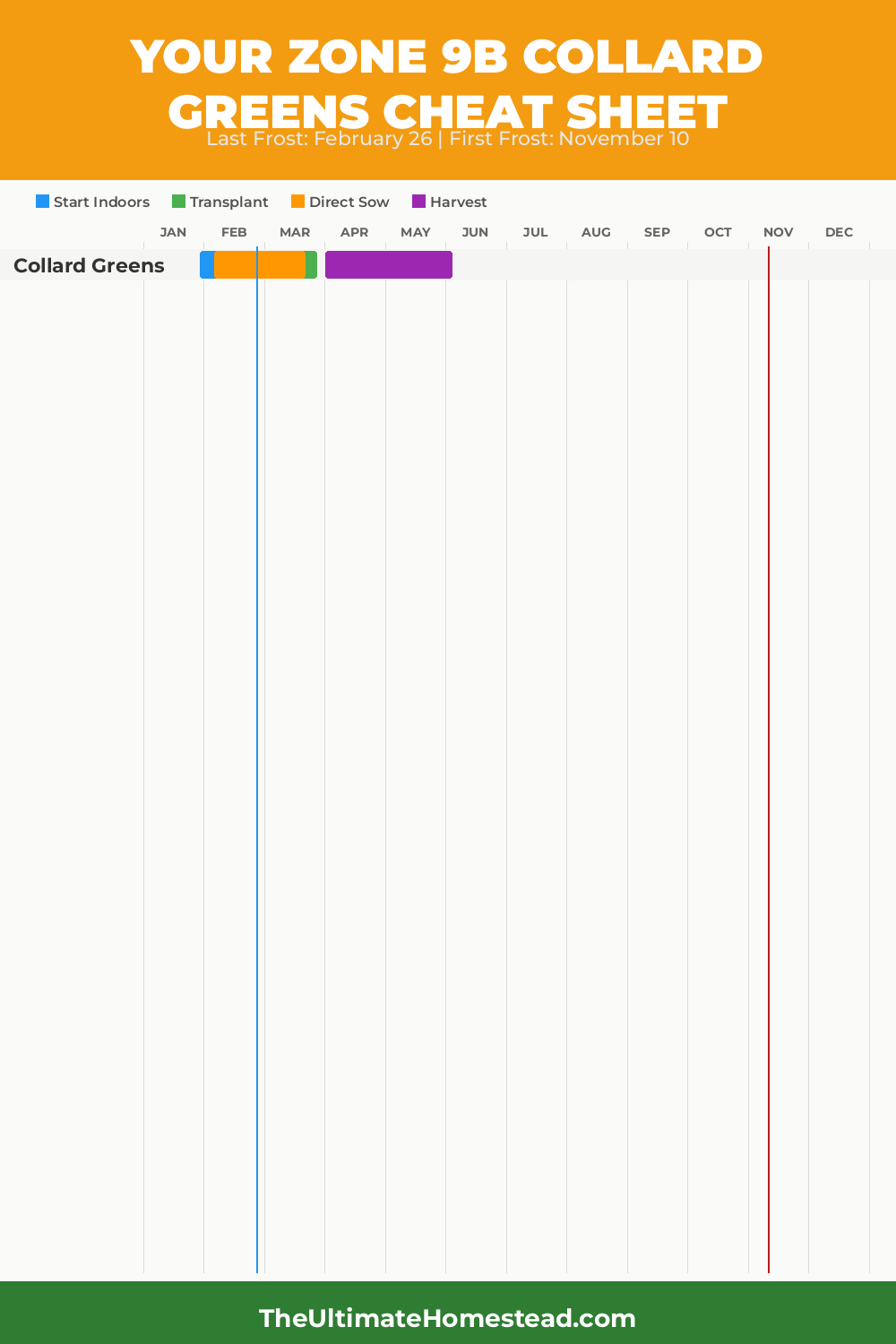 When to Plant Collard Greens in Zone 9b