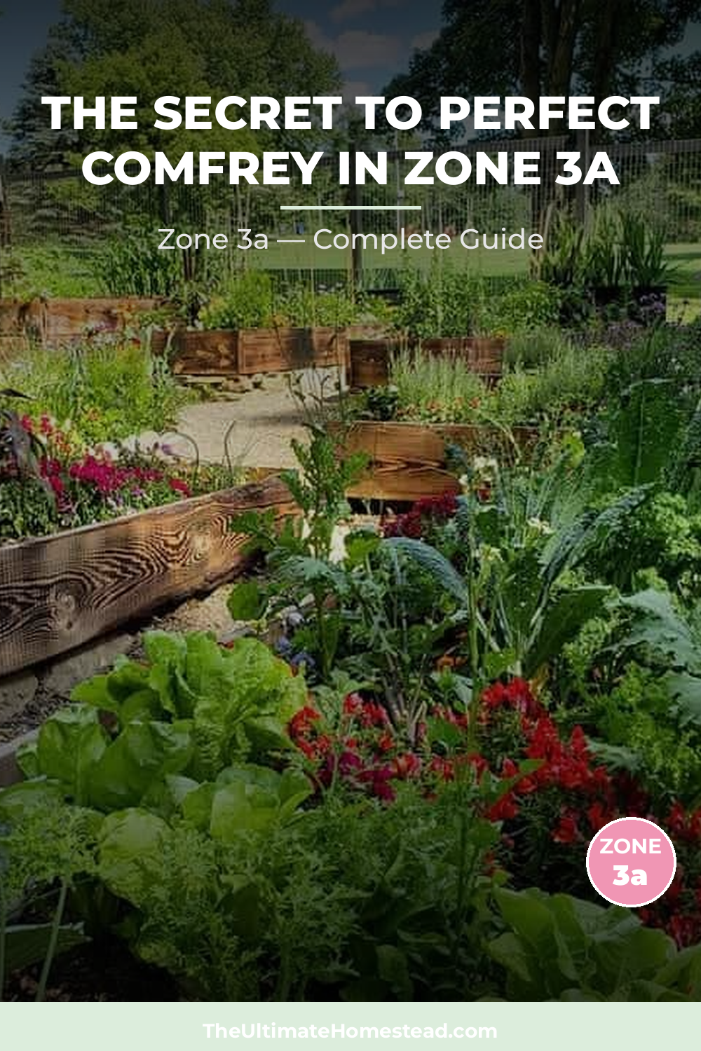 When to Plant Comfrey in Zone 3a