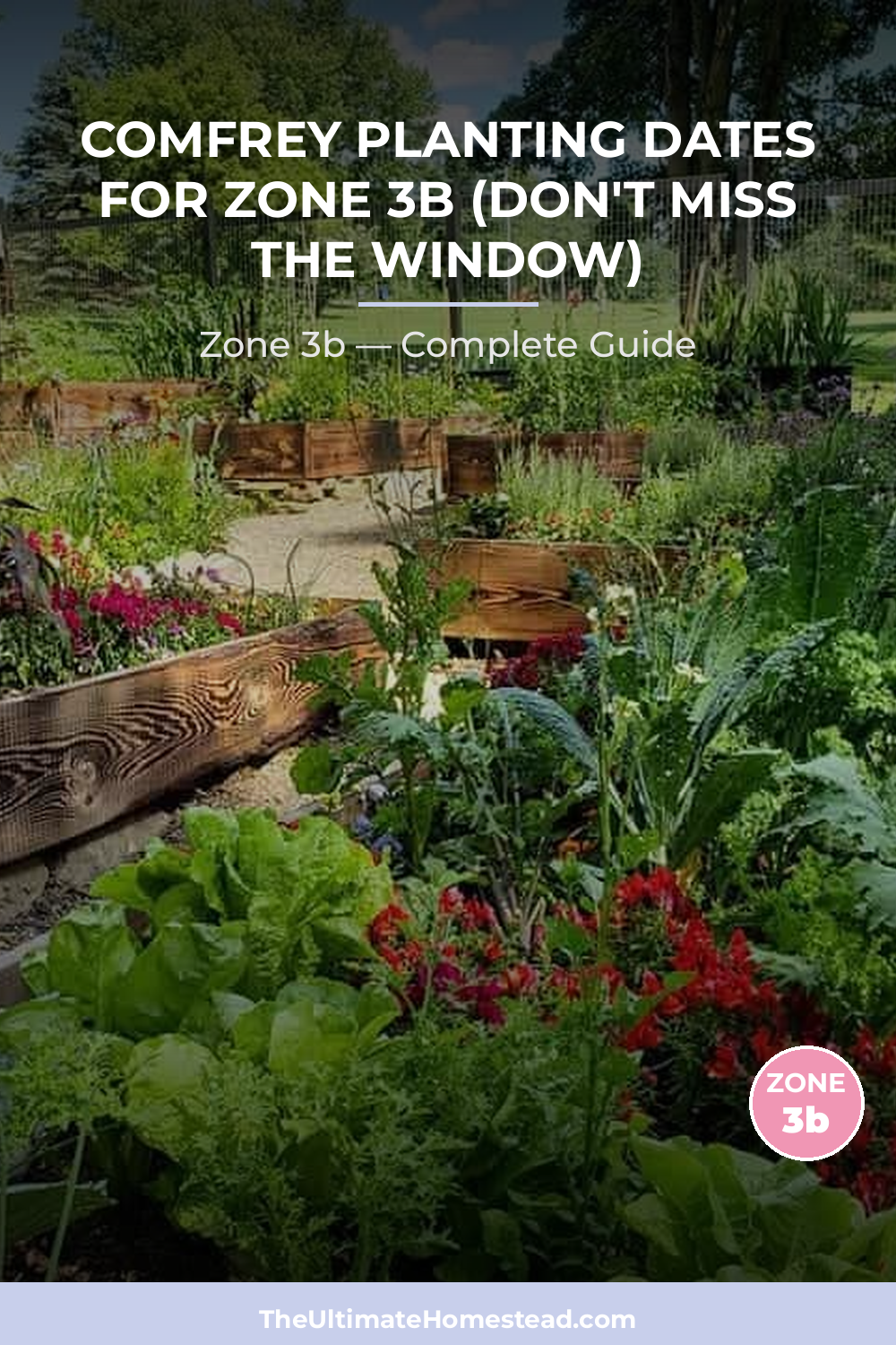 When to Plant Comfrey in Zone 3b