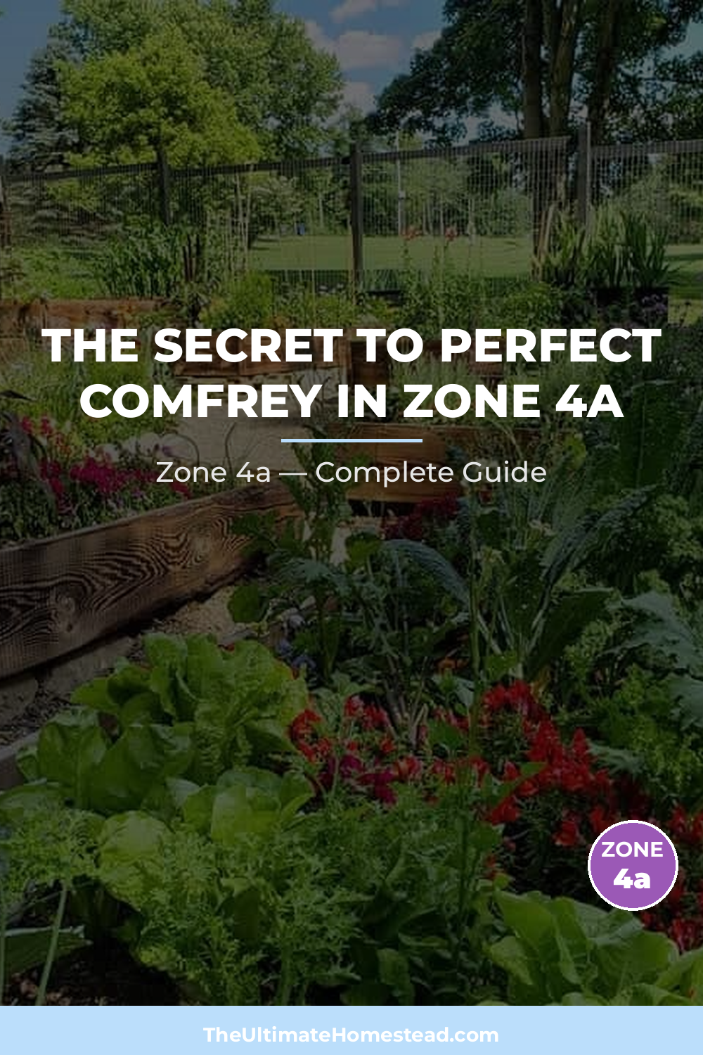 When to Plant Comfrey in Zone 4a