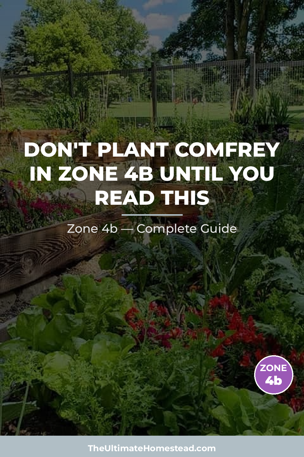 When to Plant Comfrey in Zone 4b