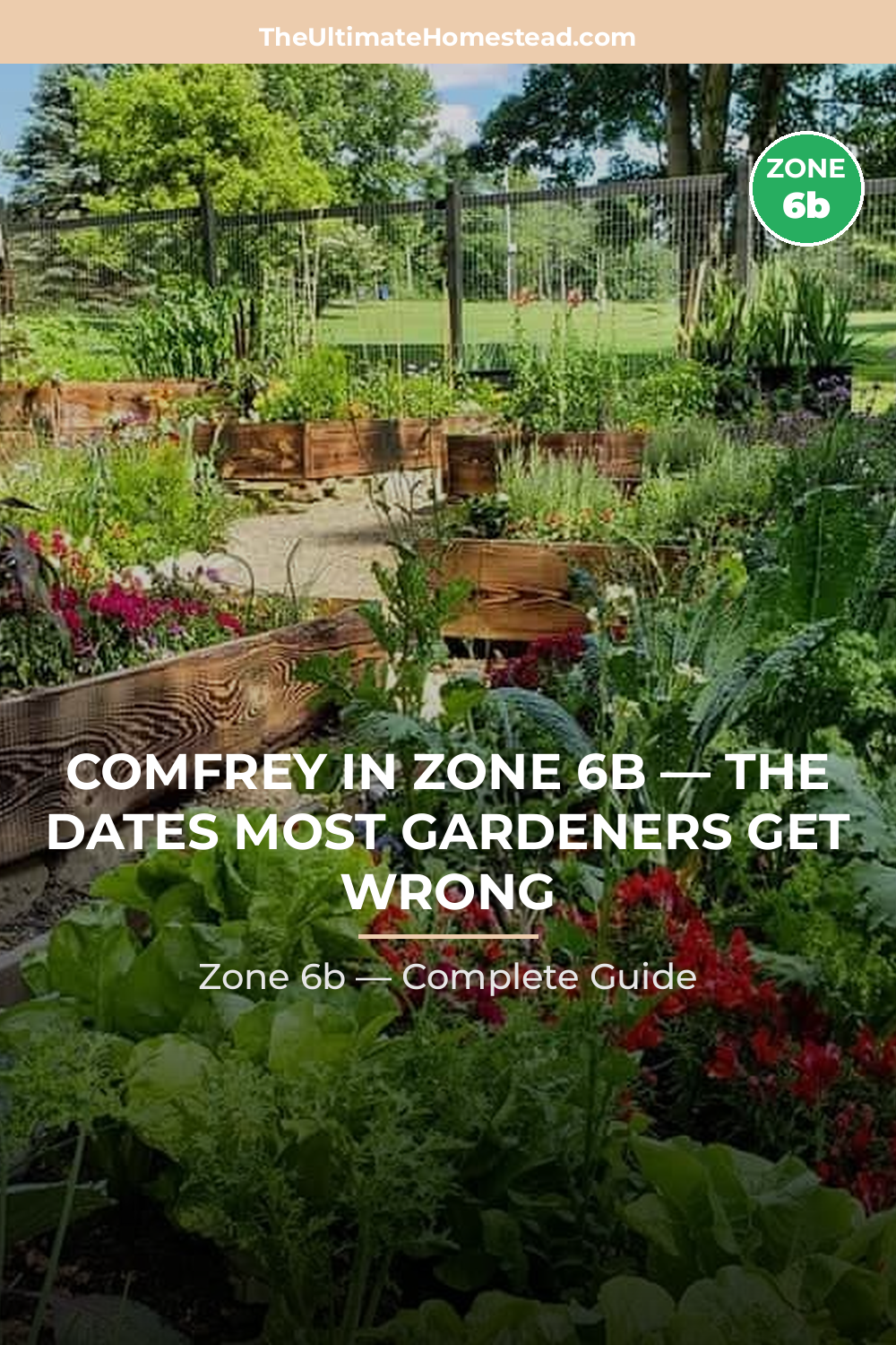 When to Plant Comfrey in Zone 6b