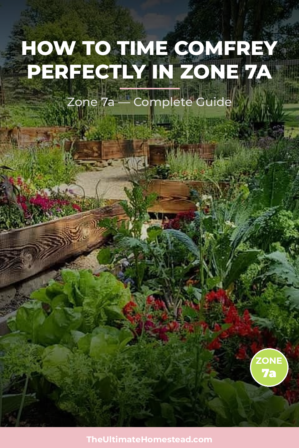 When to Plant Comfrey in Zone 7a