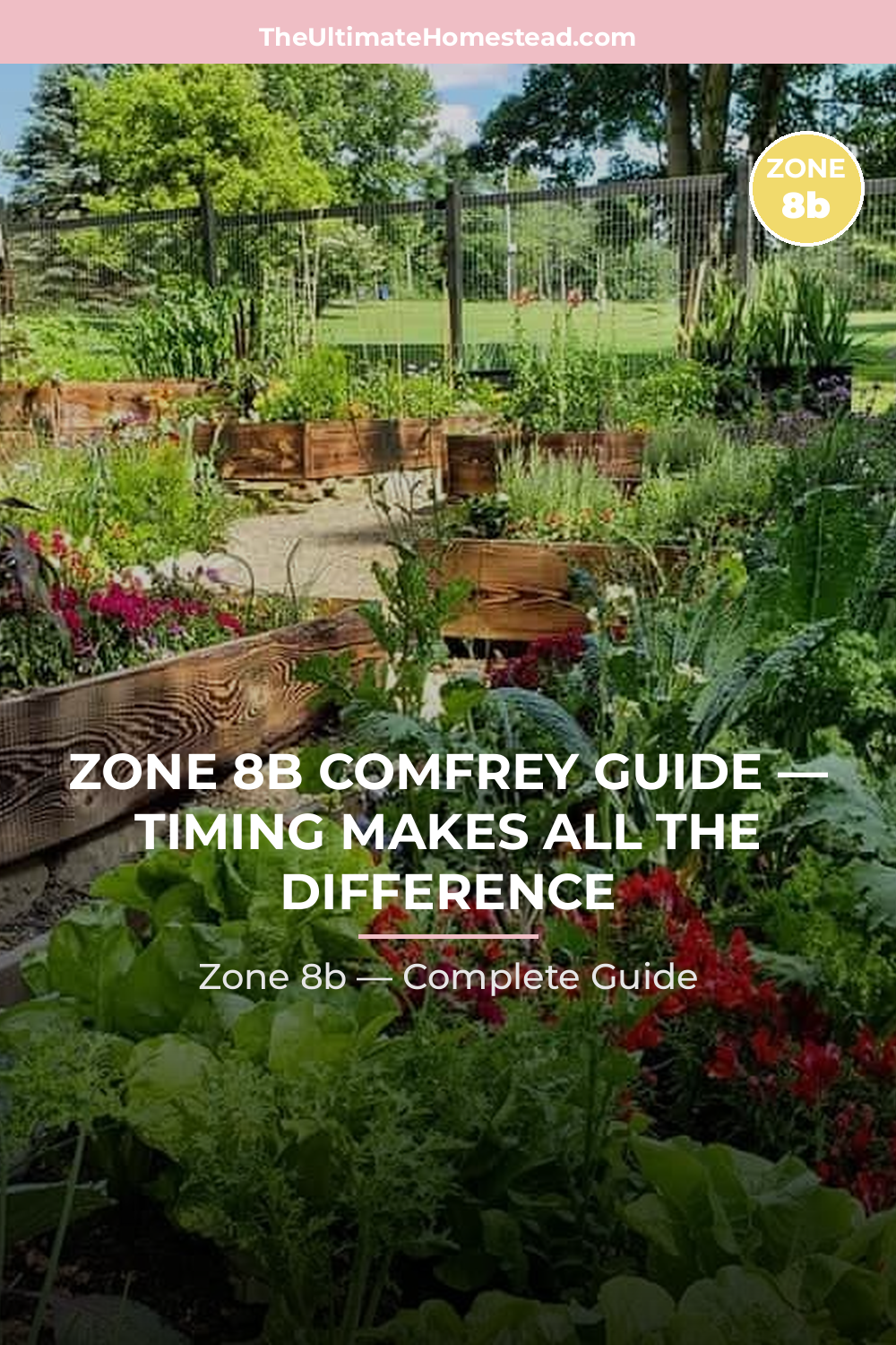 When to Plant Comfrey in Zone 8b