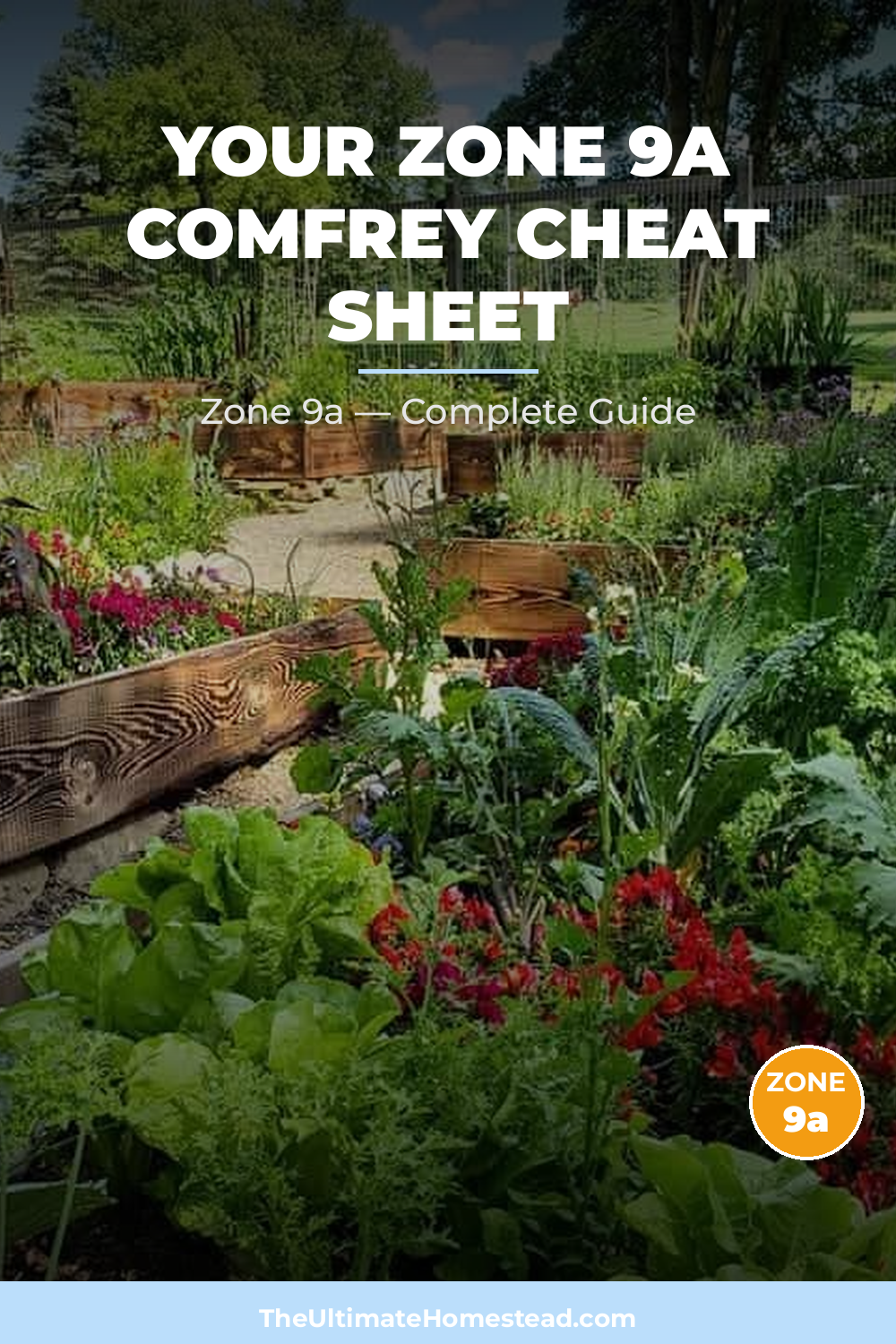 When to Plant Comfrey in Zone 9a