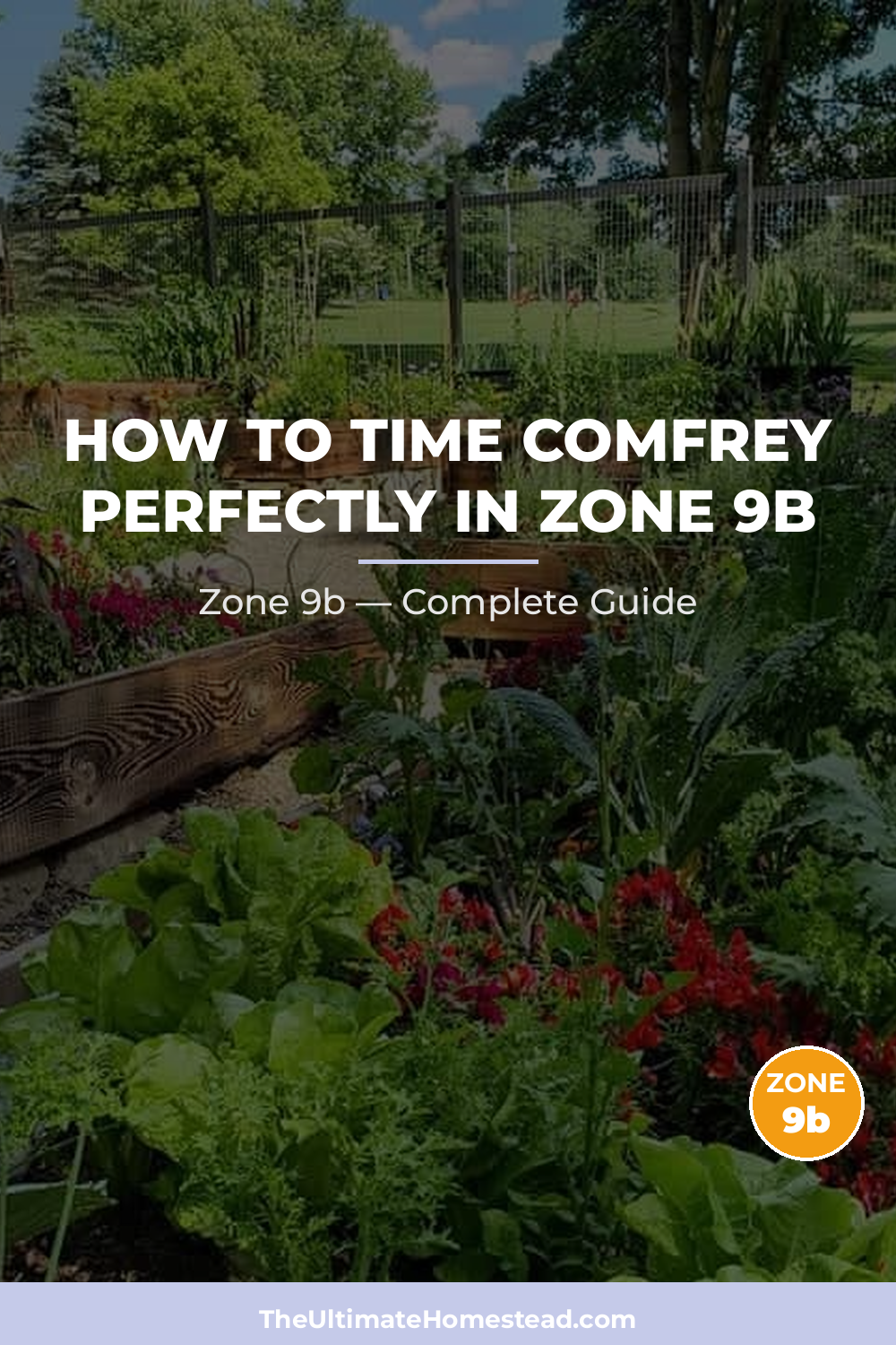 When to Plant Comfrey in Zone 9b