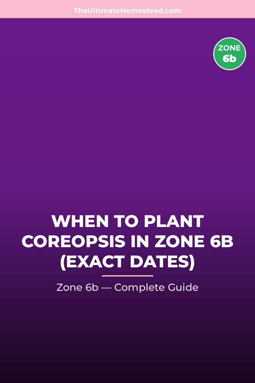 When to Plant Coreopsis in Zone 6b