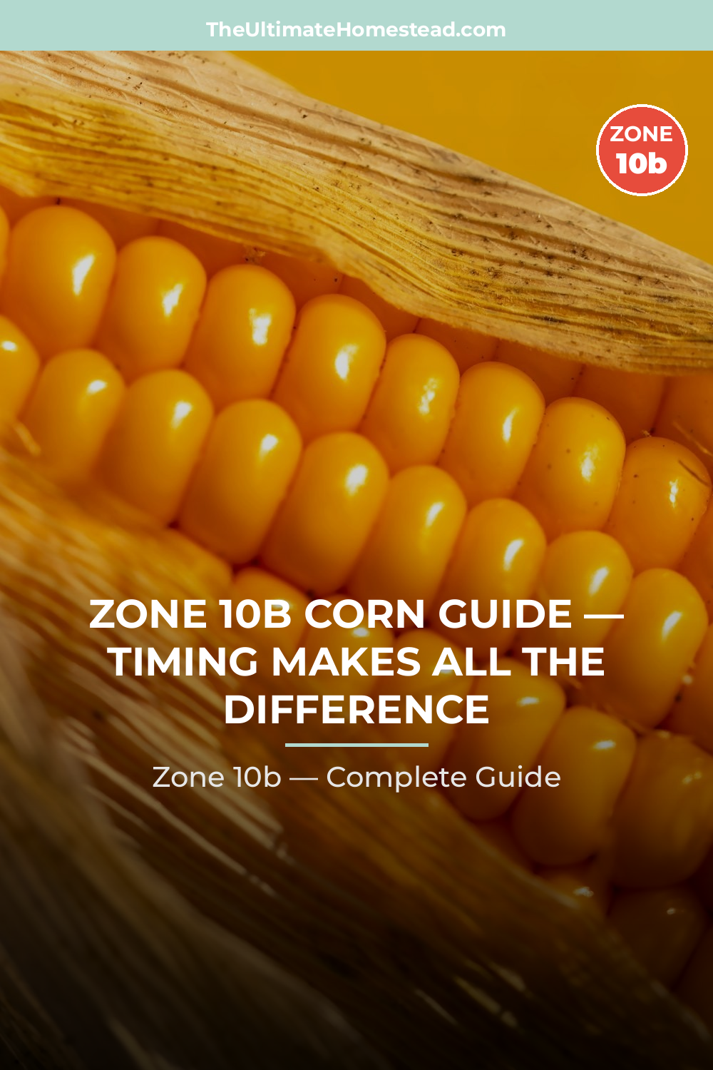 When to Plant Corn in Zone 10b